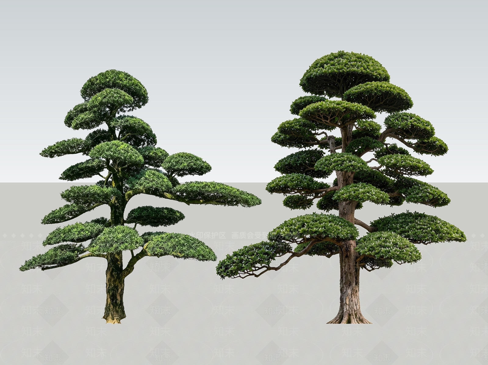 禅意乔木SU模型下载【ID:1233878390】