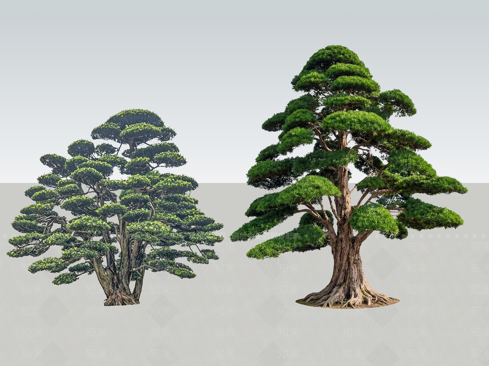 新中式景观乔木SU模型下载【ID:1233878374】