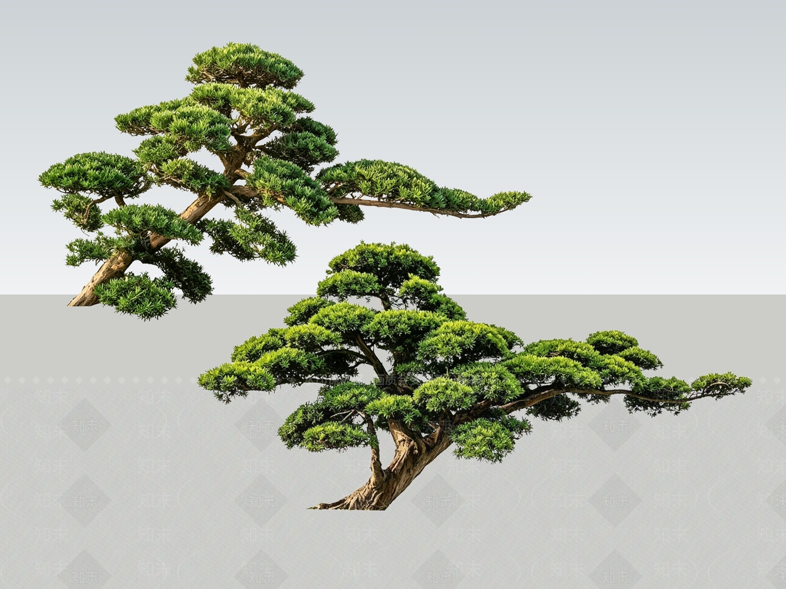 新中式景观盆栽SU模型下载【ID:1233878577】