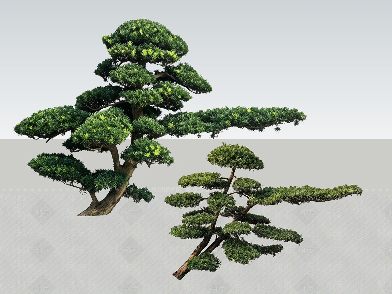 禅意盆栽SU模型下载【ID:1233878774】