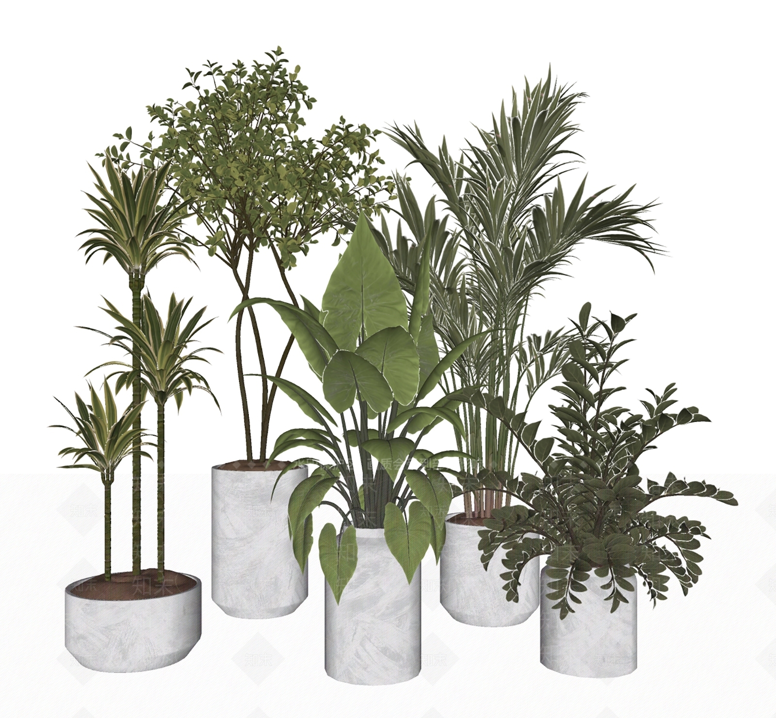 现代植物组合SU模型下载【ID:1233891269】