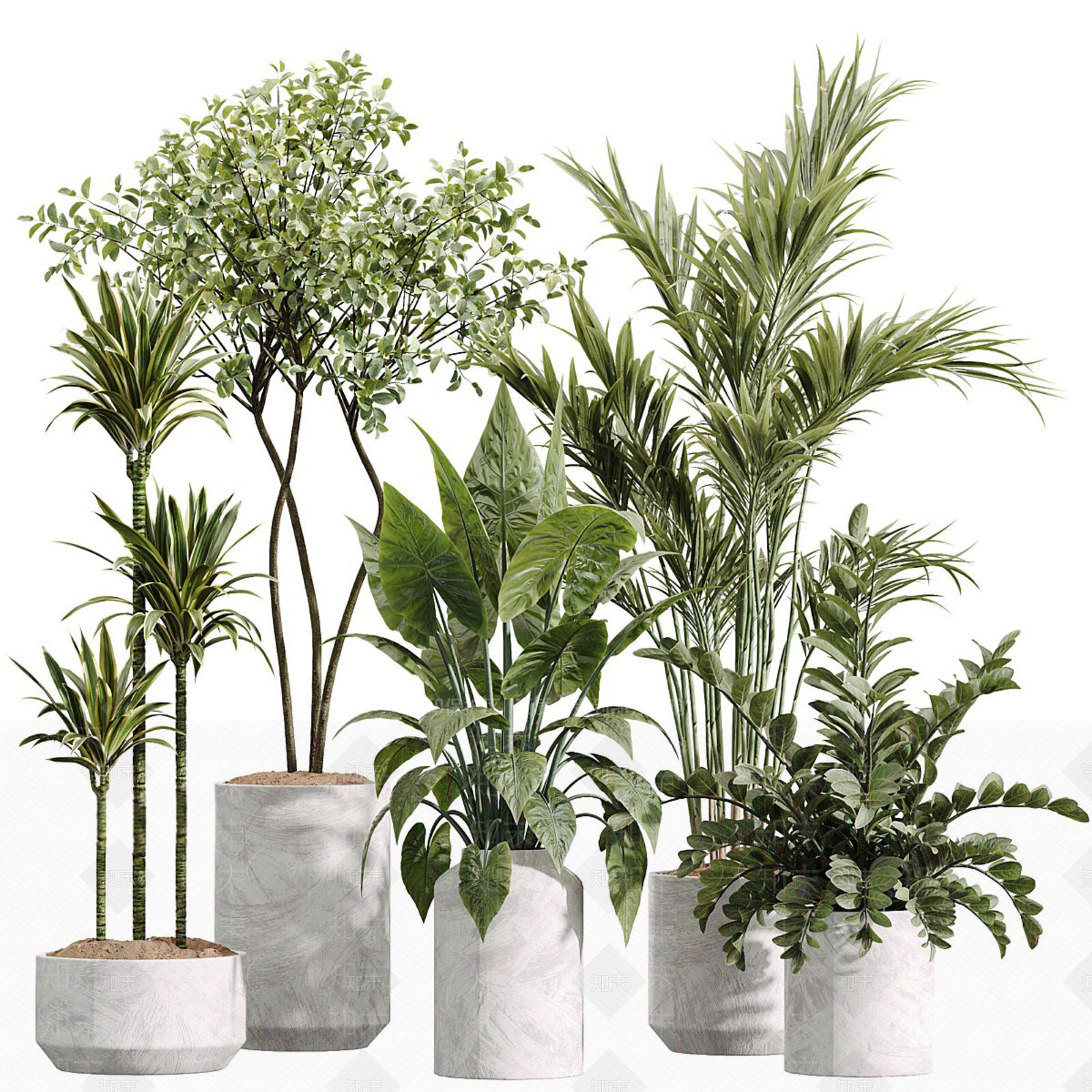 现代植物组合SU模型下载【ID:1233891269】
