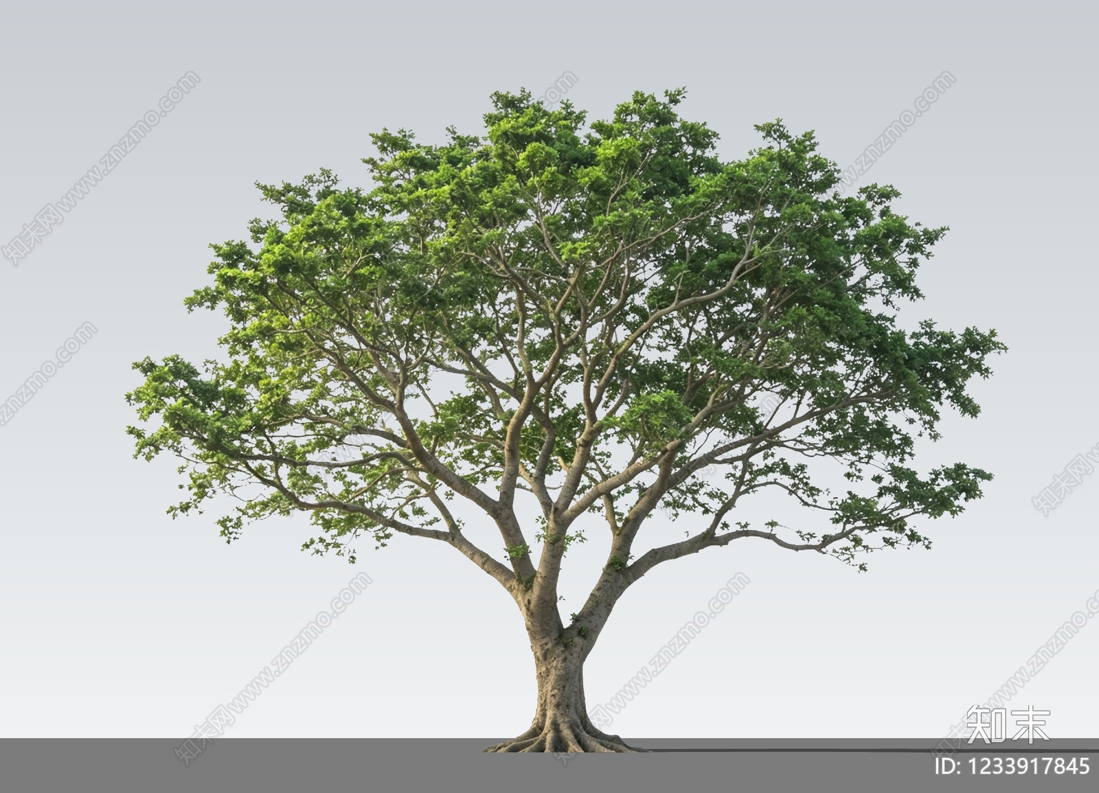 乔木SU模型下载【ID:1233917845】