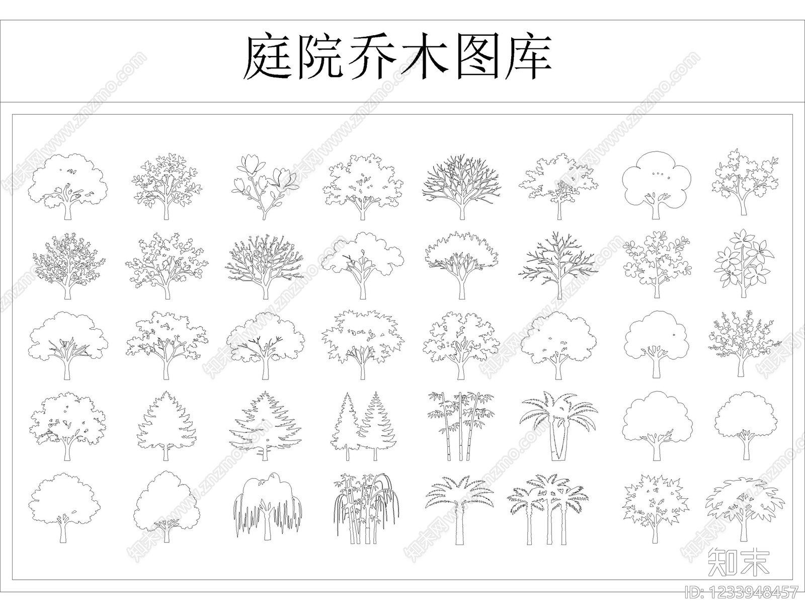 乔木种植CAD图纸