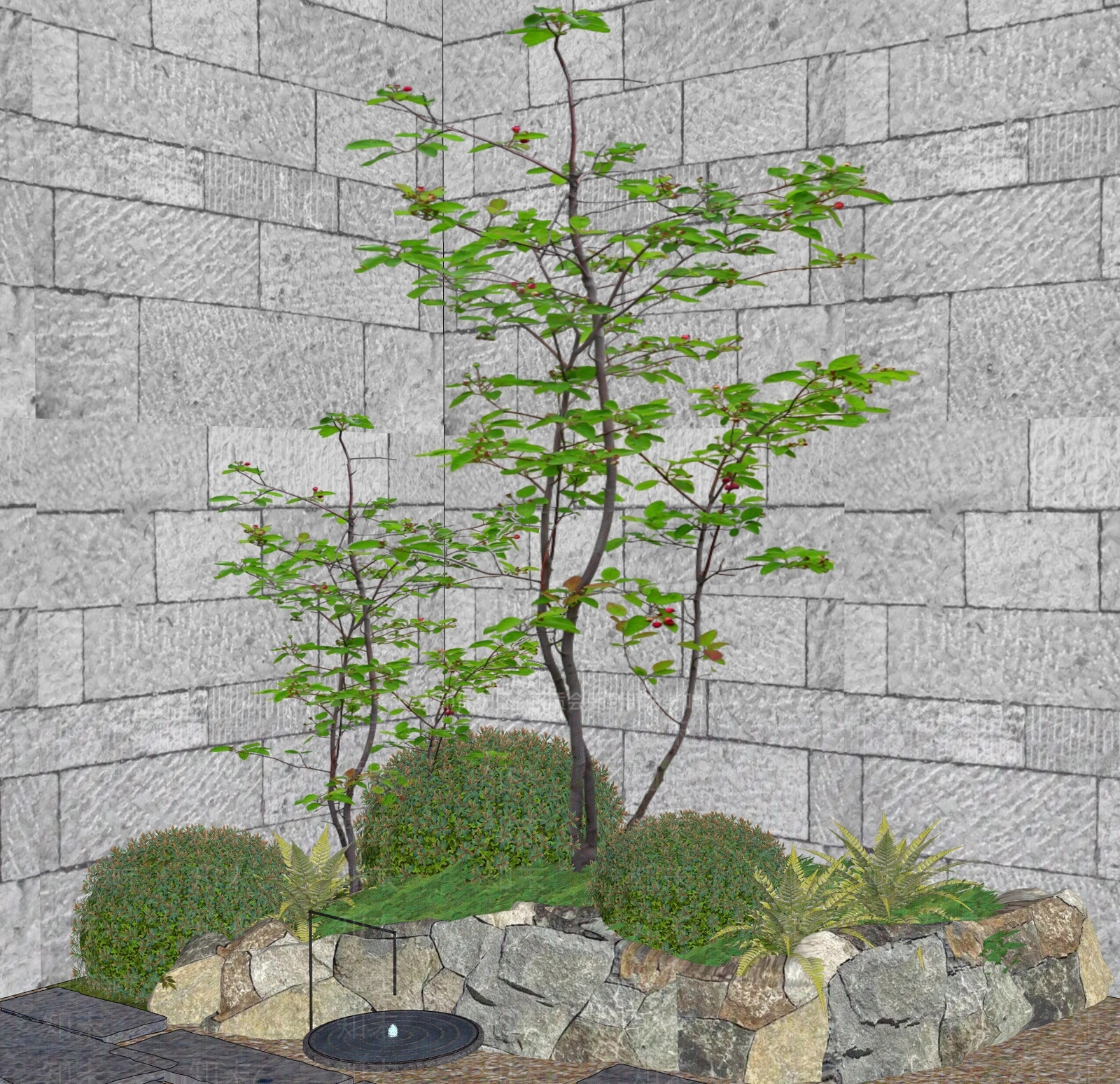 禅意植物组合SU模型下载【ID:1233951502】