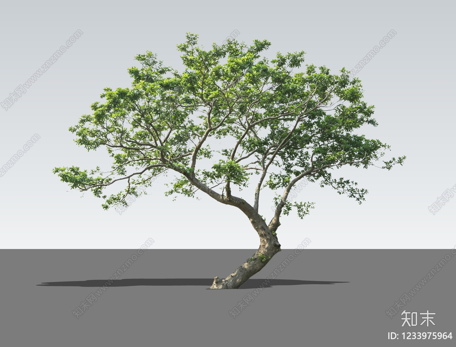 新中式景观乔木SU模型下载【ID:1233975964】