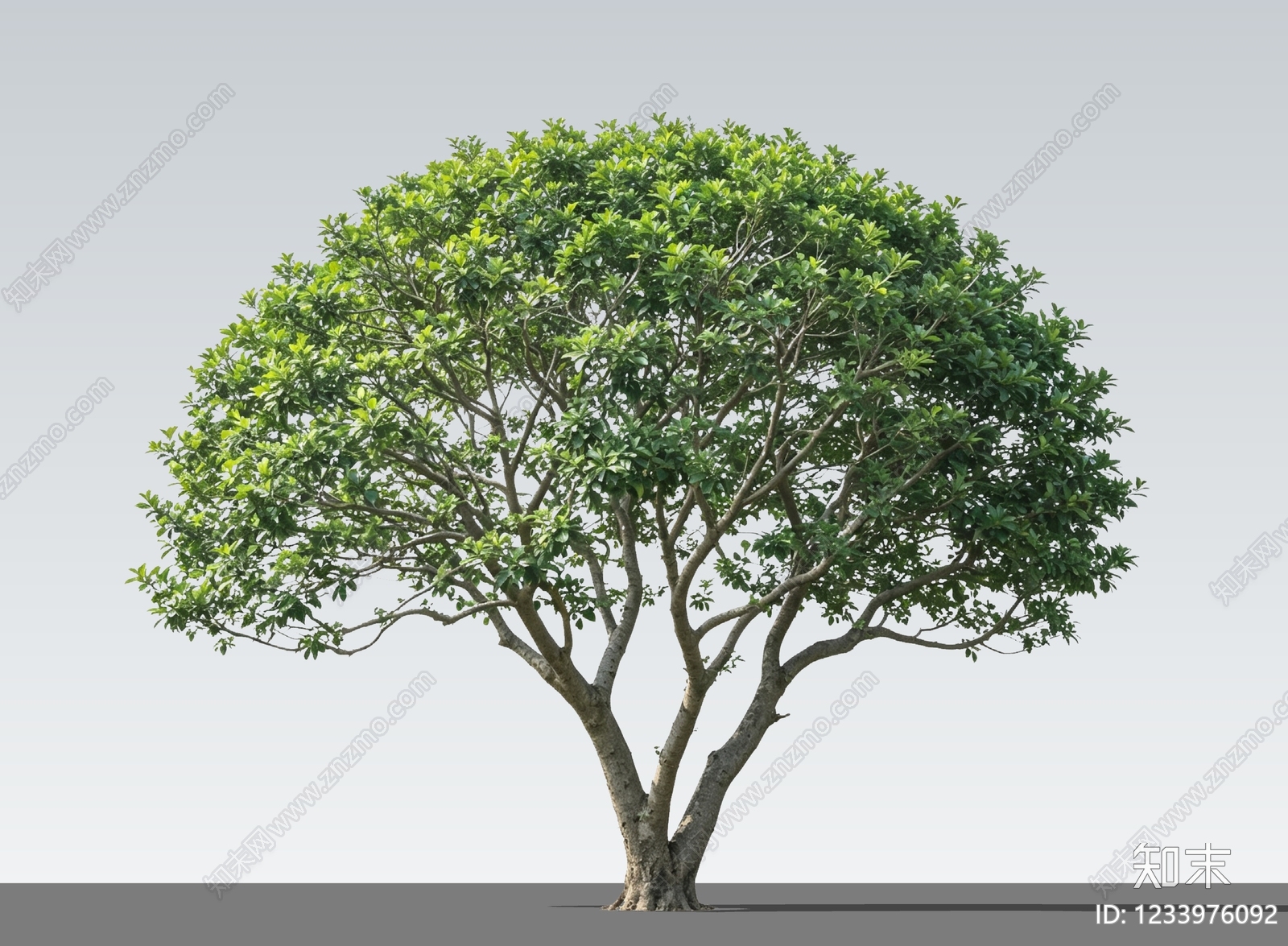 乔木SU模型下载【ID:1233976092】