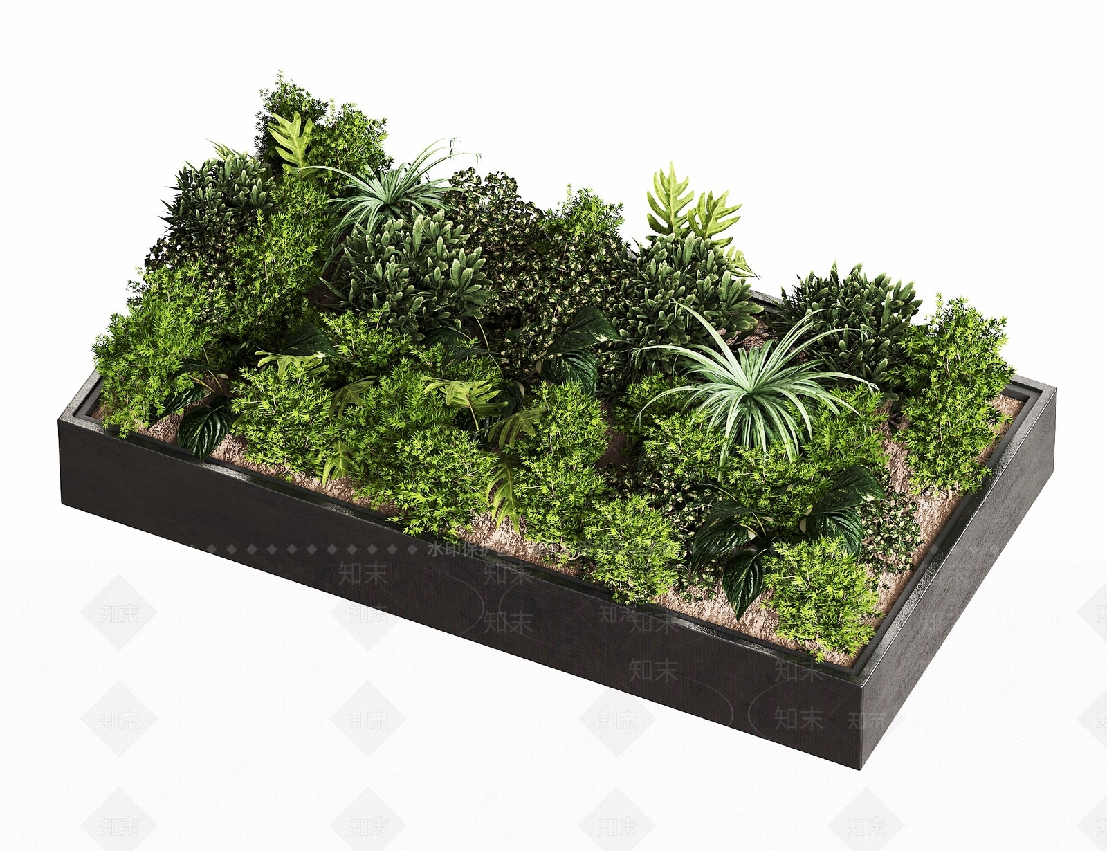 现代植物堆3D模型渲染效果图