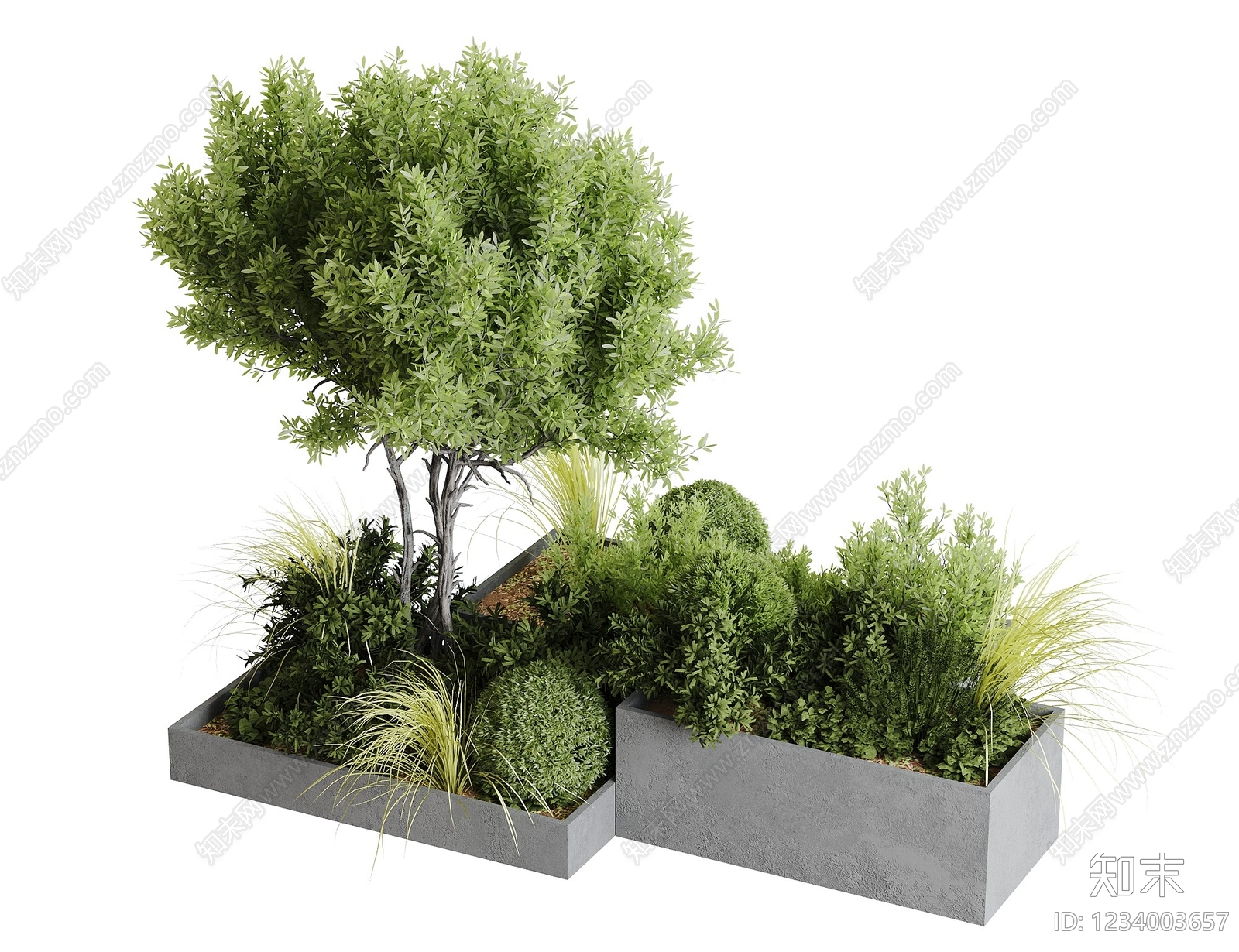 现代植物组合SU模型下载【ID:1234003657】