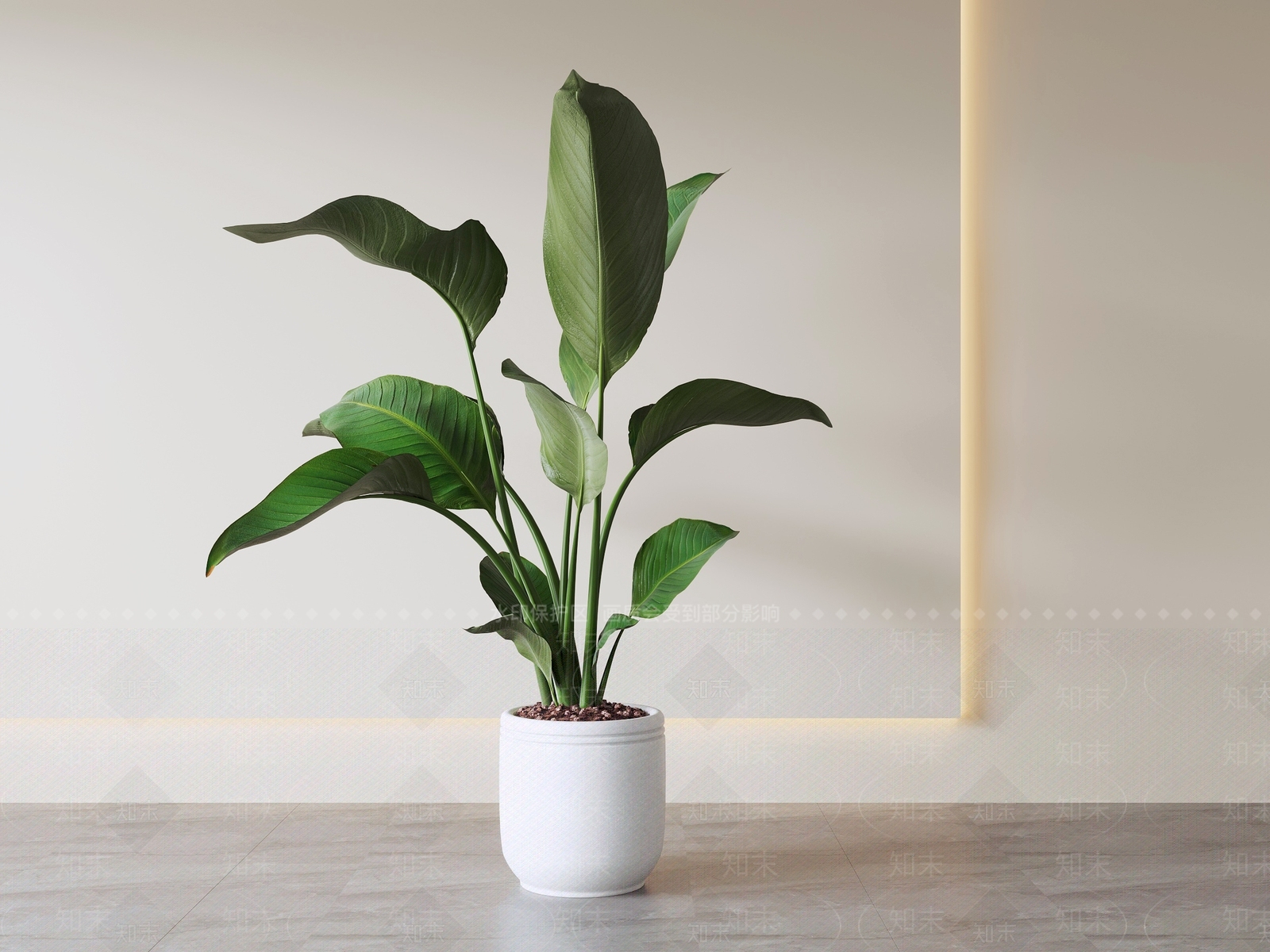 极简盆栽SU模型下载【ID:1234110748】