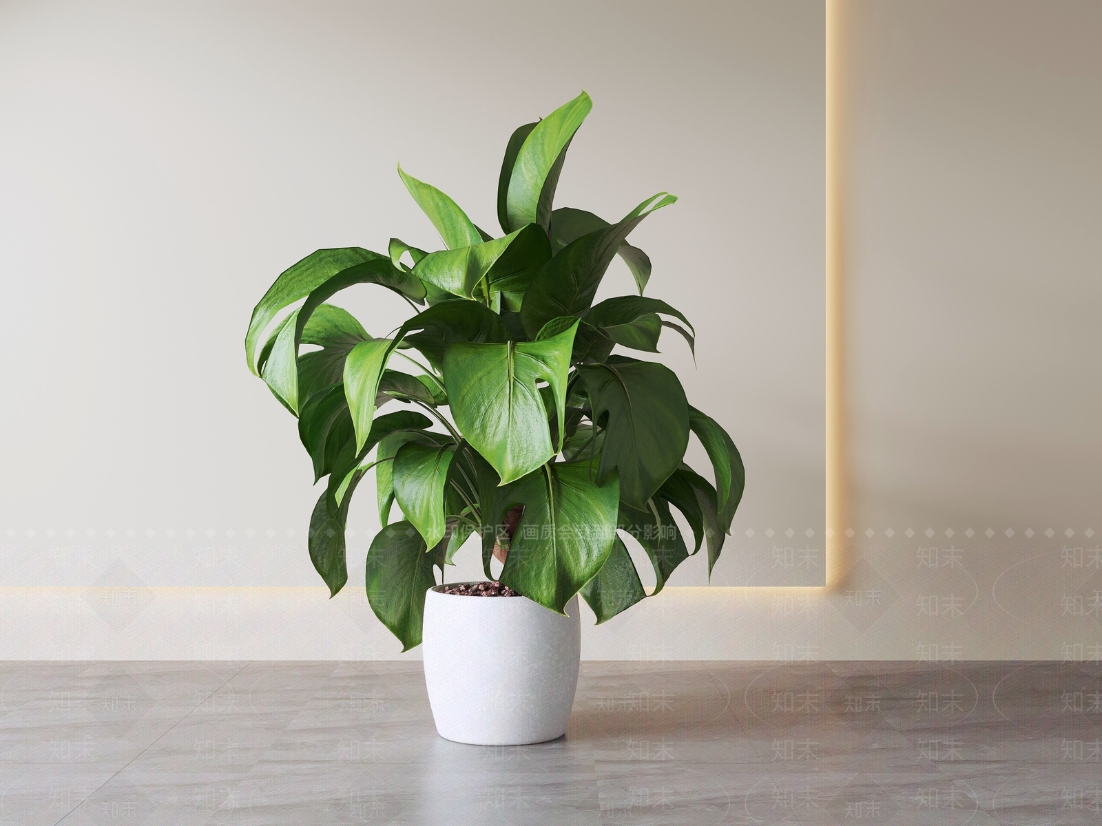 现代简约盆栽SU模型下载【ID:1234127748】