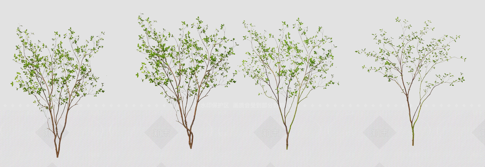极简灌木SU模型下载【ID:1234155934】