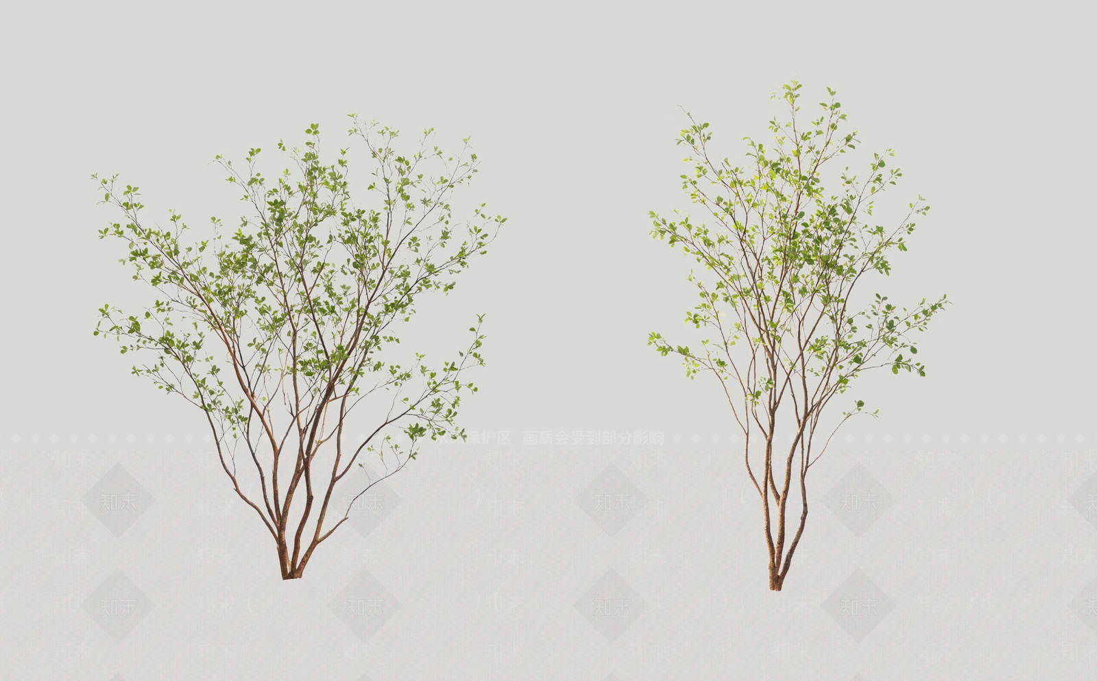 乔木SU模型下载【ID:1234160461】