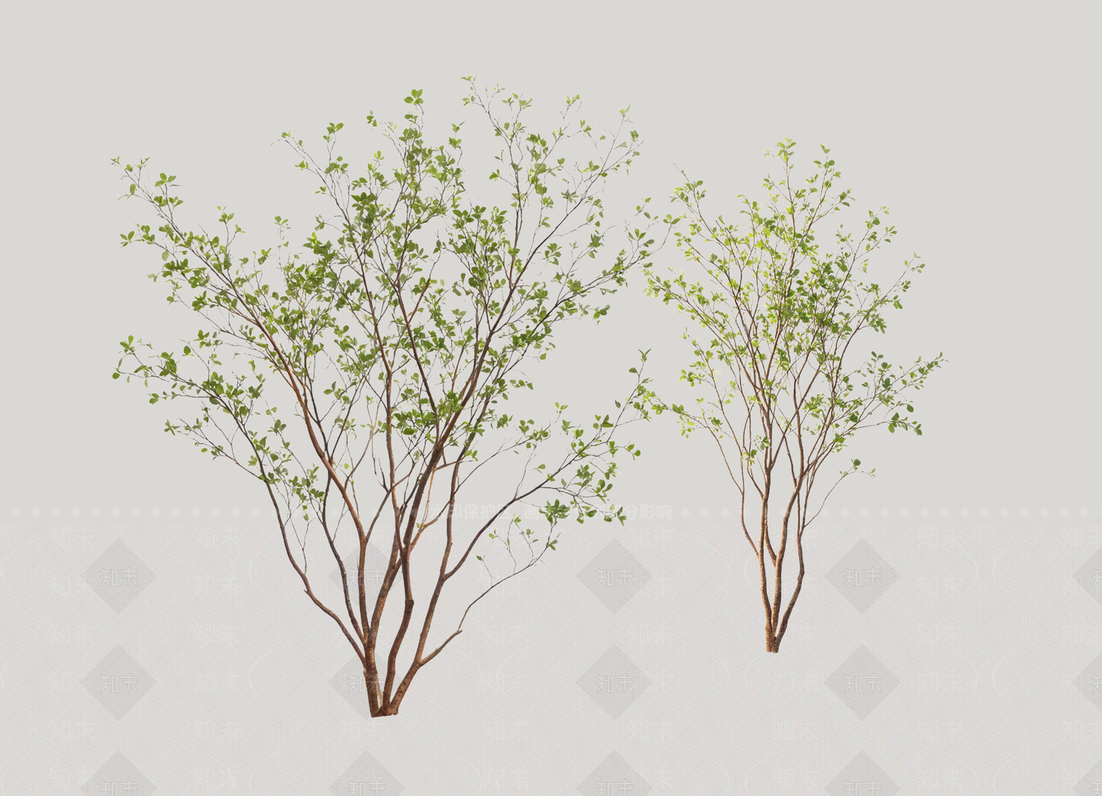 乔木SU模型下载【ID:1234160461】