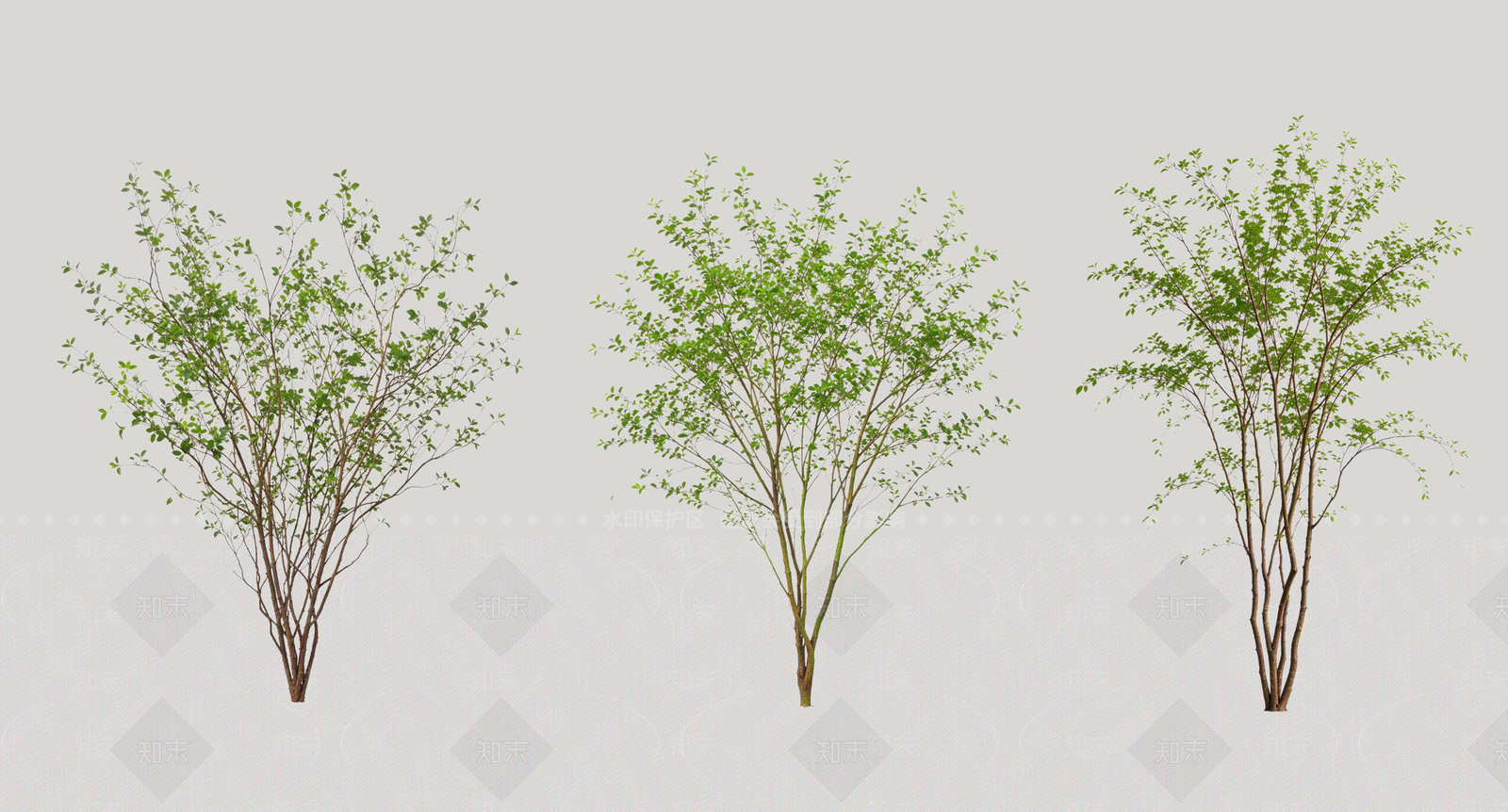 乔木SU模型下载【ID:1234160641】