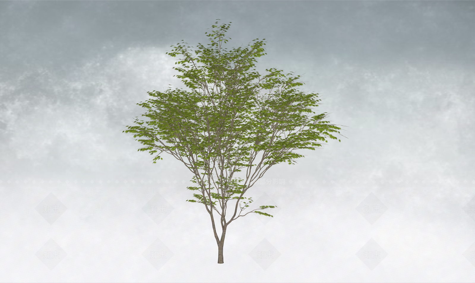 极简乔木SU模型下载【ID:1234173795】