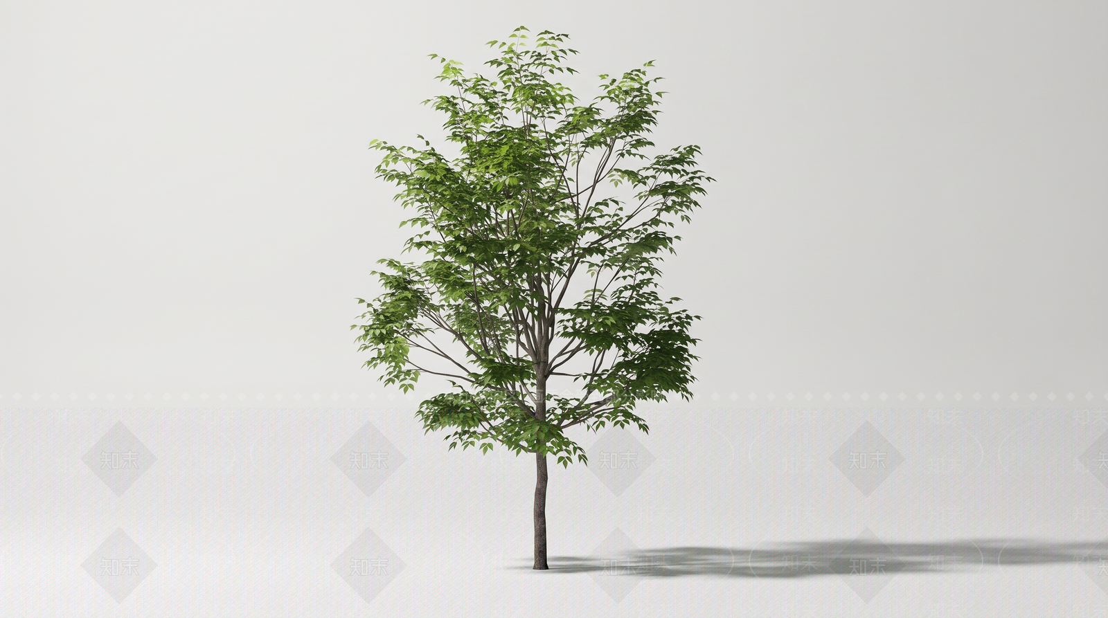 极简乔木SU模型下载【ID:1234173769】