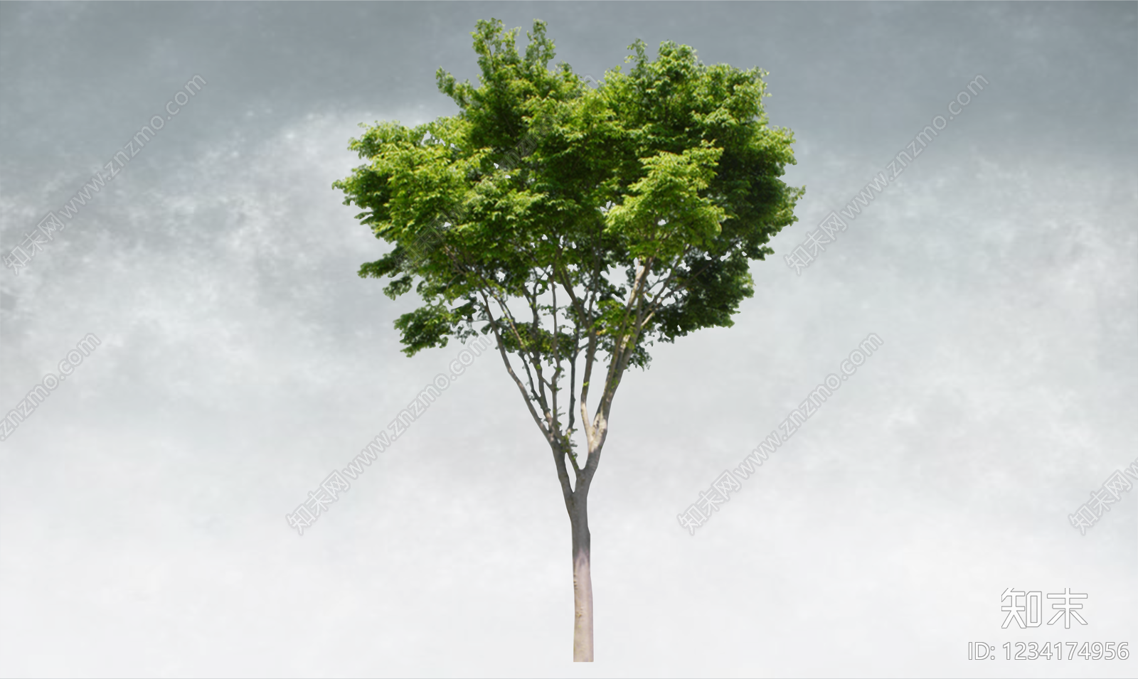 极简乔木SU模型下载【ID:1234174956】