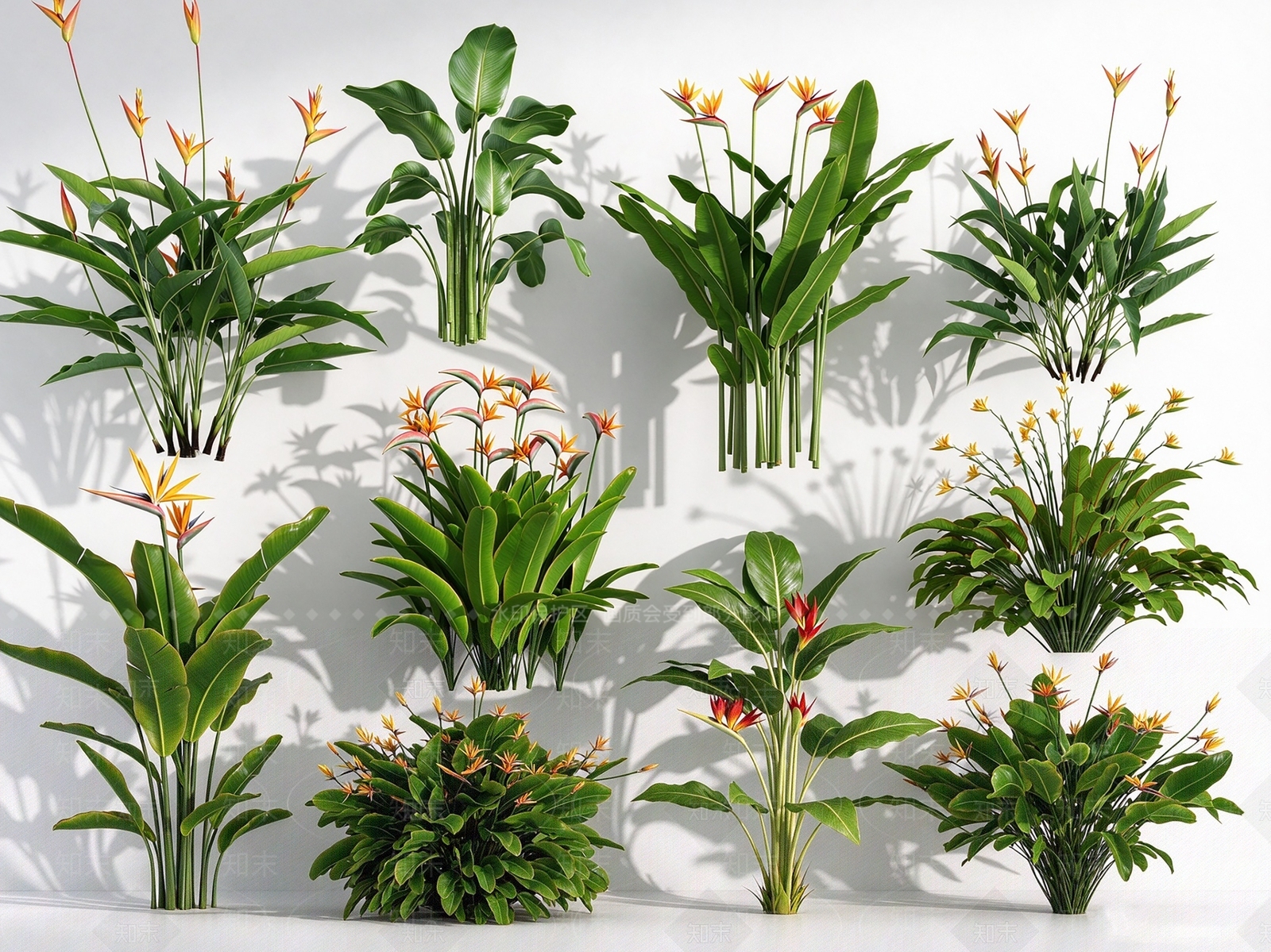 现代草本植物SU模型下载【ID:1234196396】