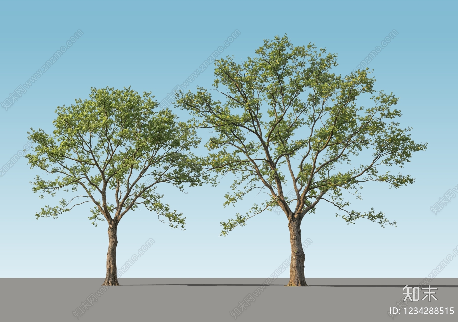 乔木SU模型下载【ID:1234288515】