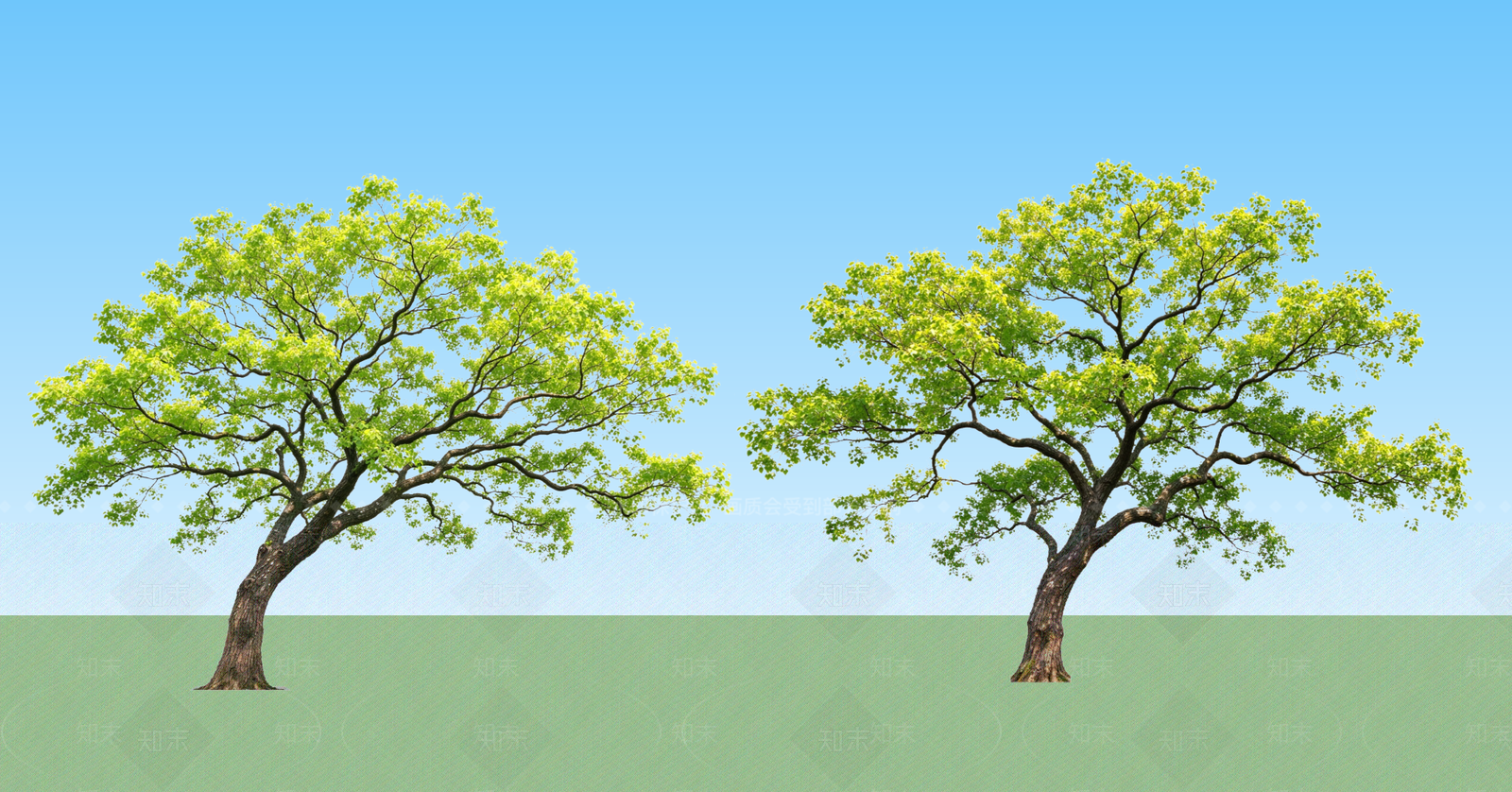 乔木SU模型下载【ID:1234289790】