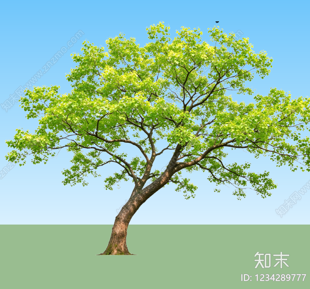 乔木SU模型下载【ID:1234289777】