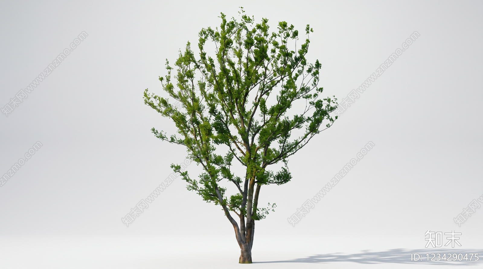 极简乔木SU模型下载【ID:1234290475】