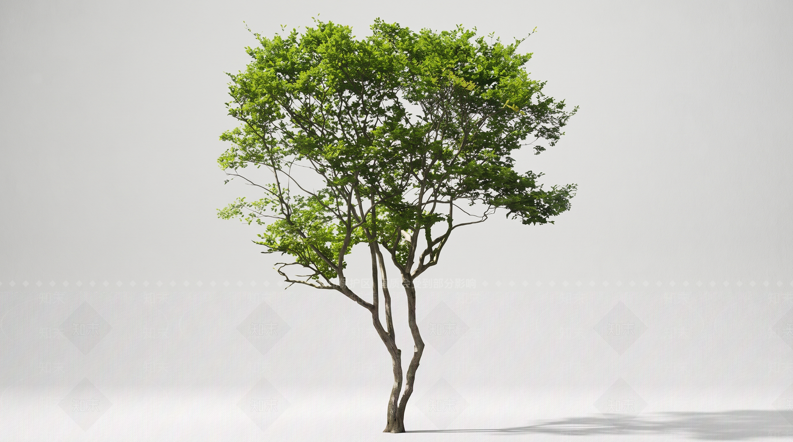 极简乔木SU模型下载【ID:1234290678】
