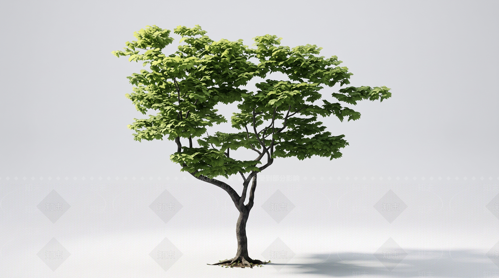 极简乔木SU模型下载【ID:1234290754】