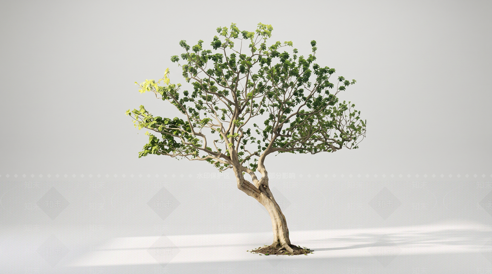 极简乔木SU模型下载【ID:1234290837】