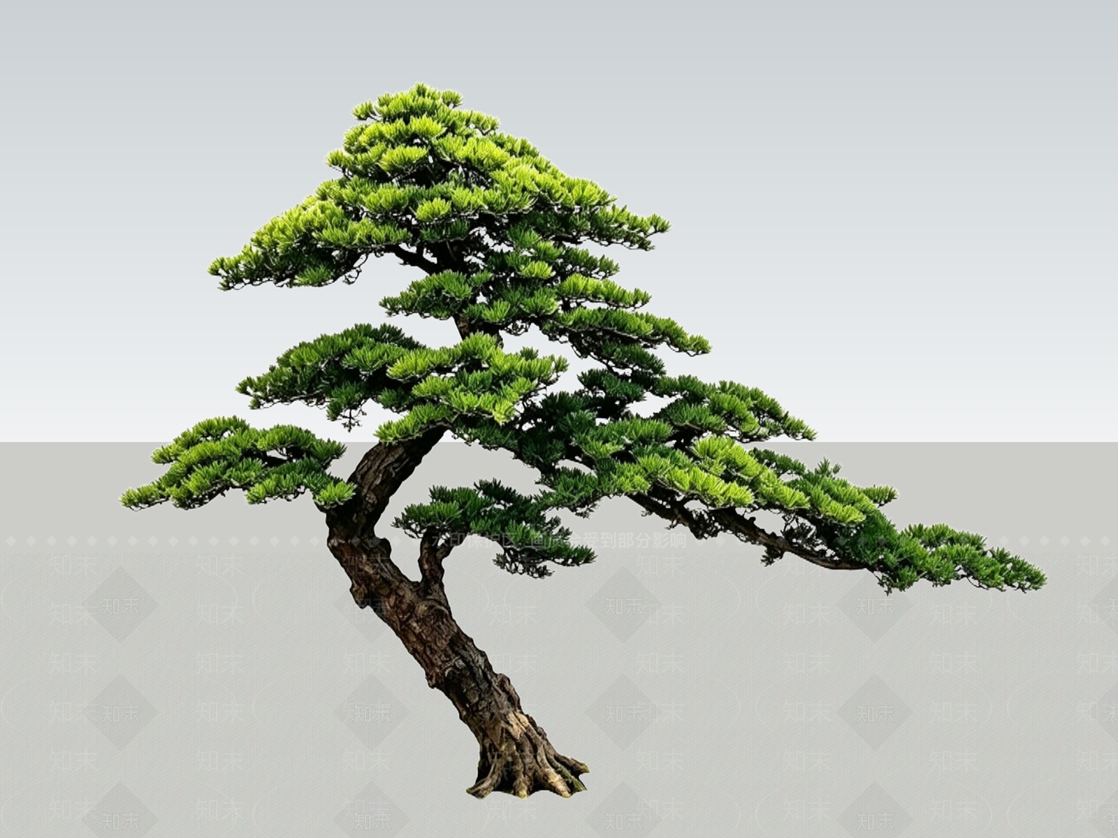 禅意盆栽SU模型下载【ID:1234322163】
