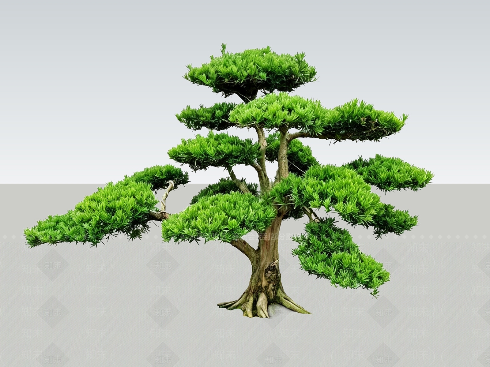 禅意盆栽SU模型下载【ID:1234324083】