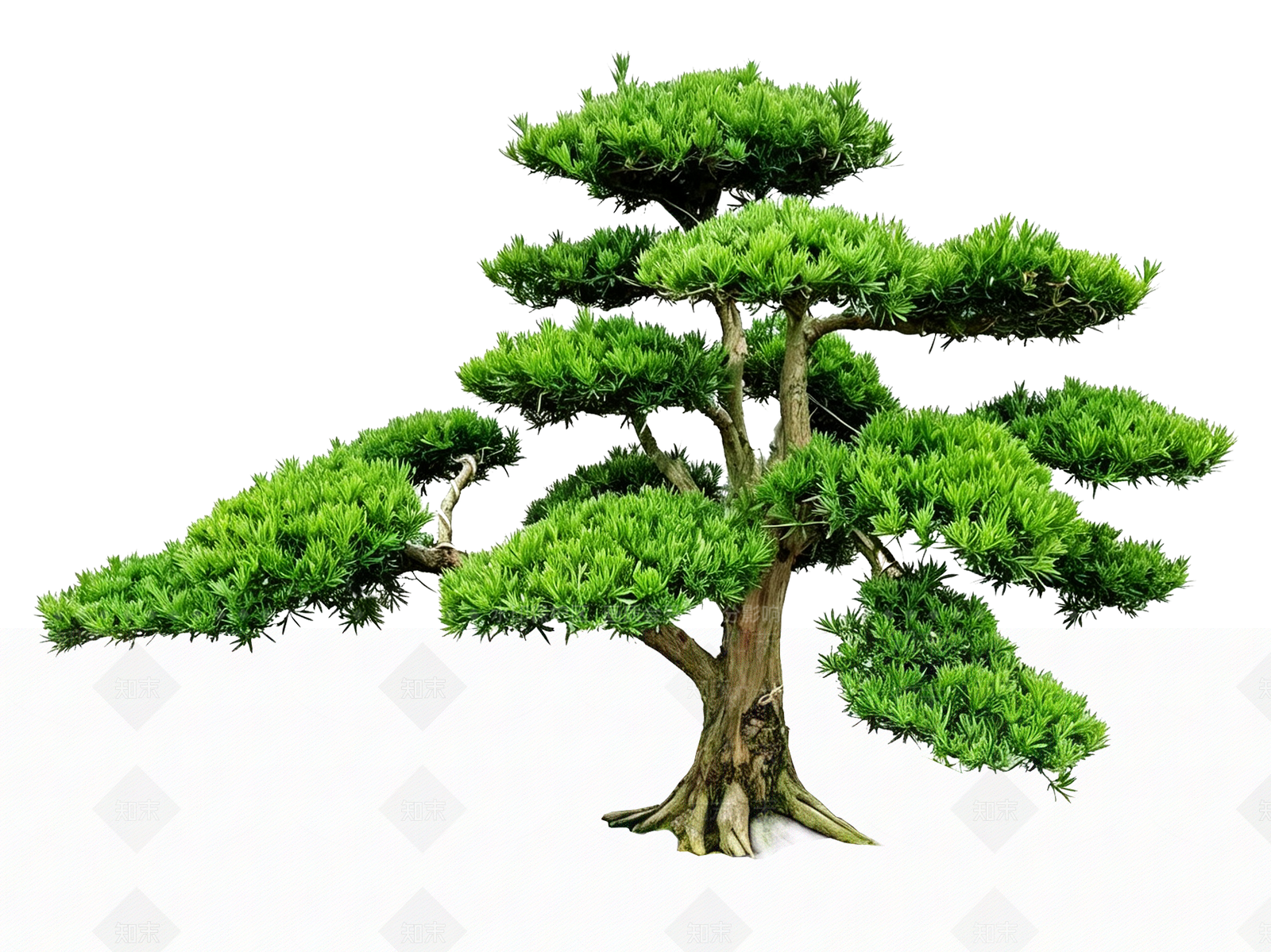 禅意盆栽SU模型下载【ID:1234324083】