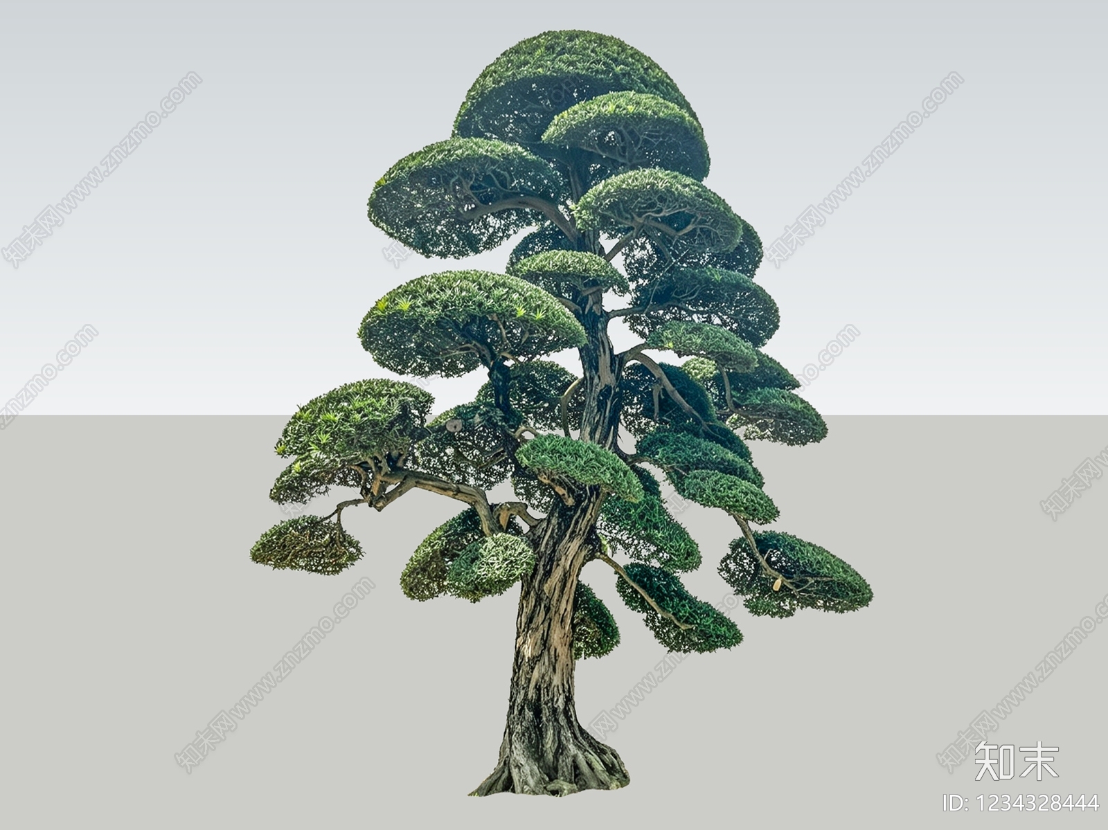 禅意乔木SU模型下载【ID:1234328444】