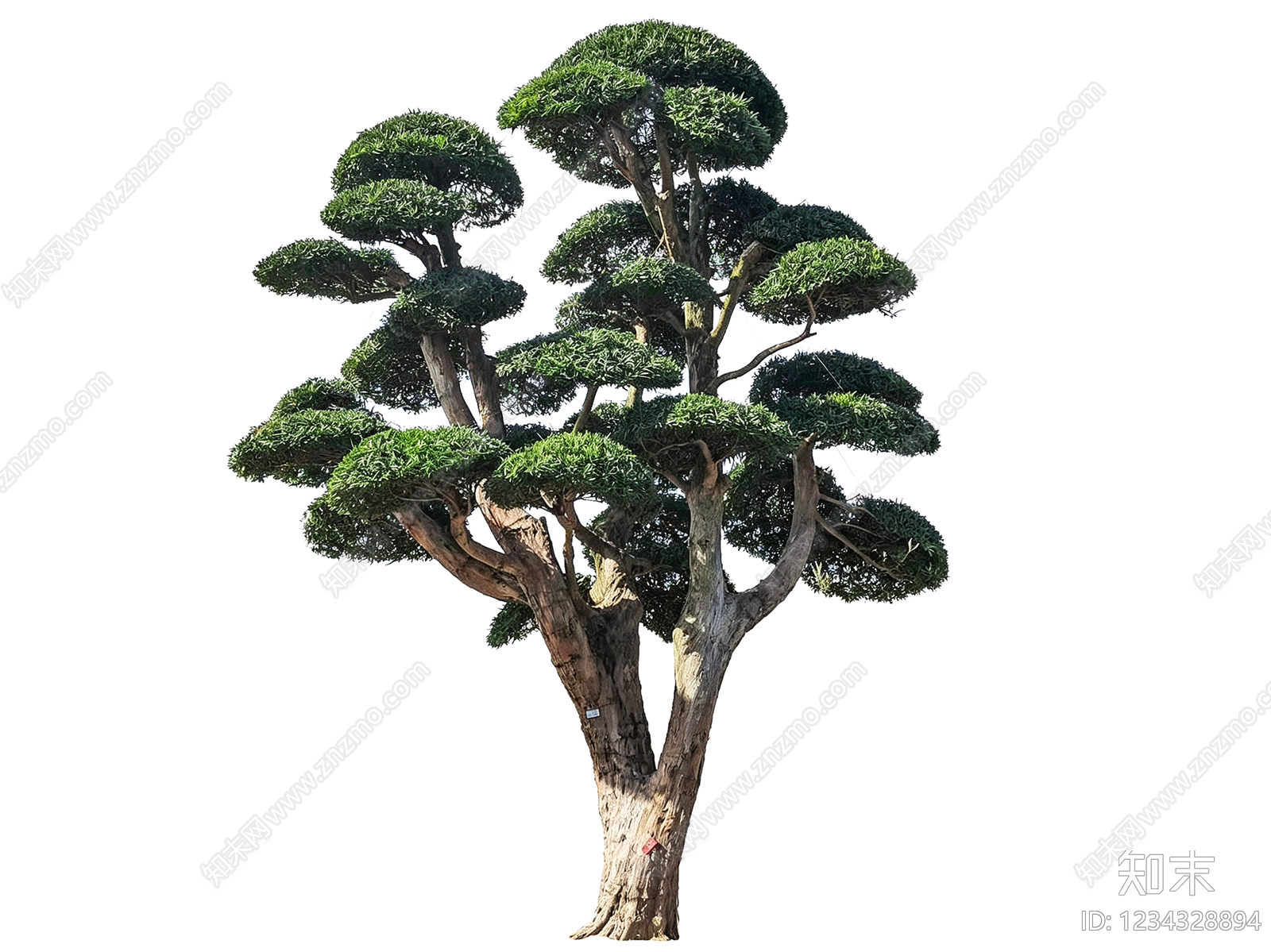 新中式景观乔木SU模型草图