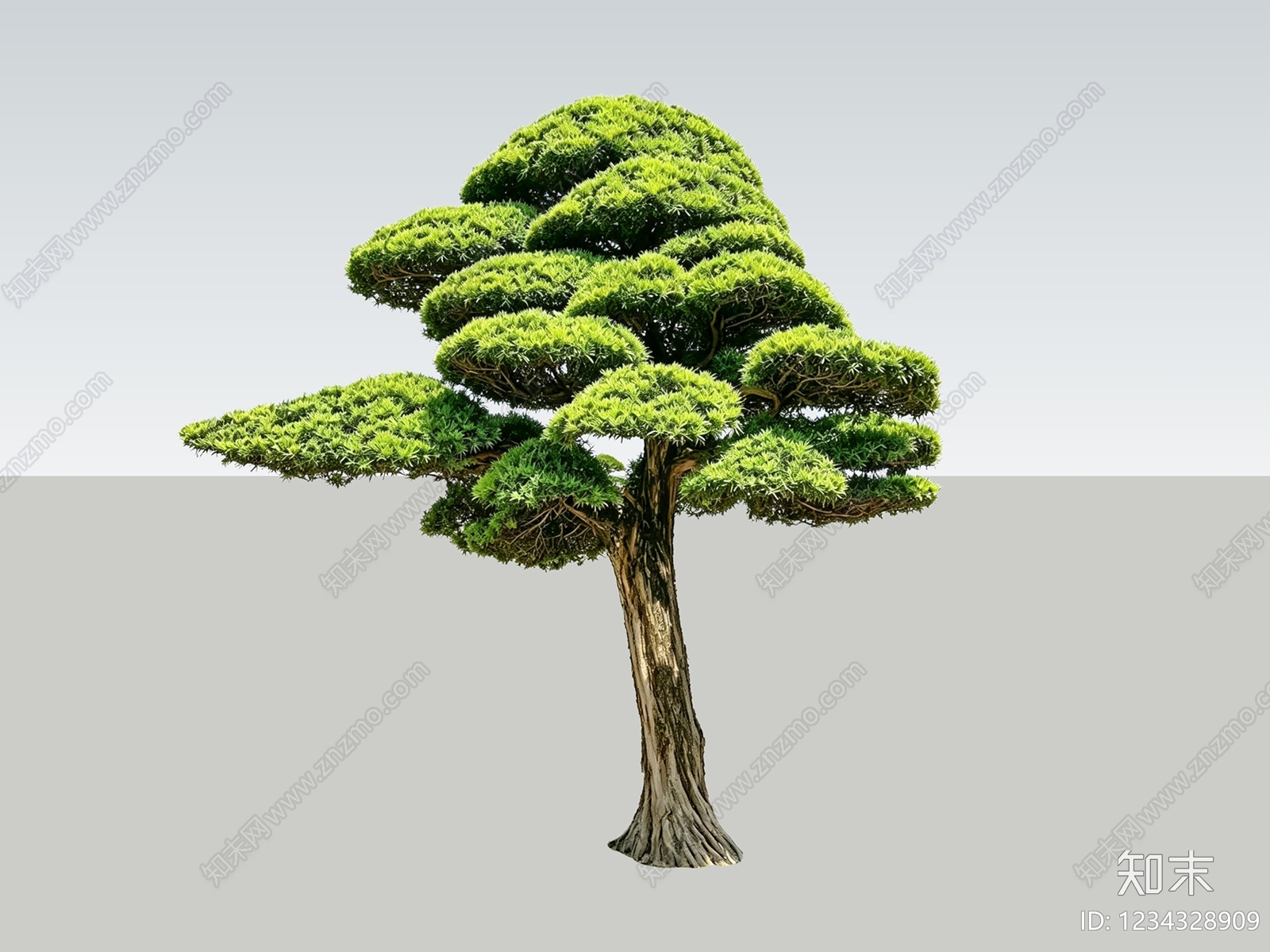 禅意乔木SU模型下载【ID:1234328909】