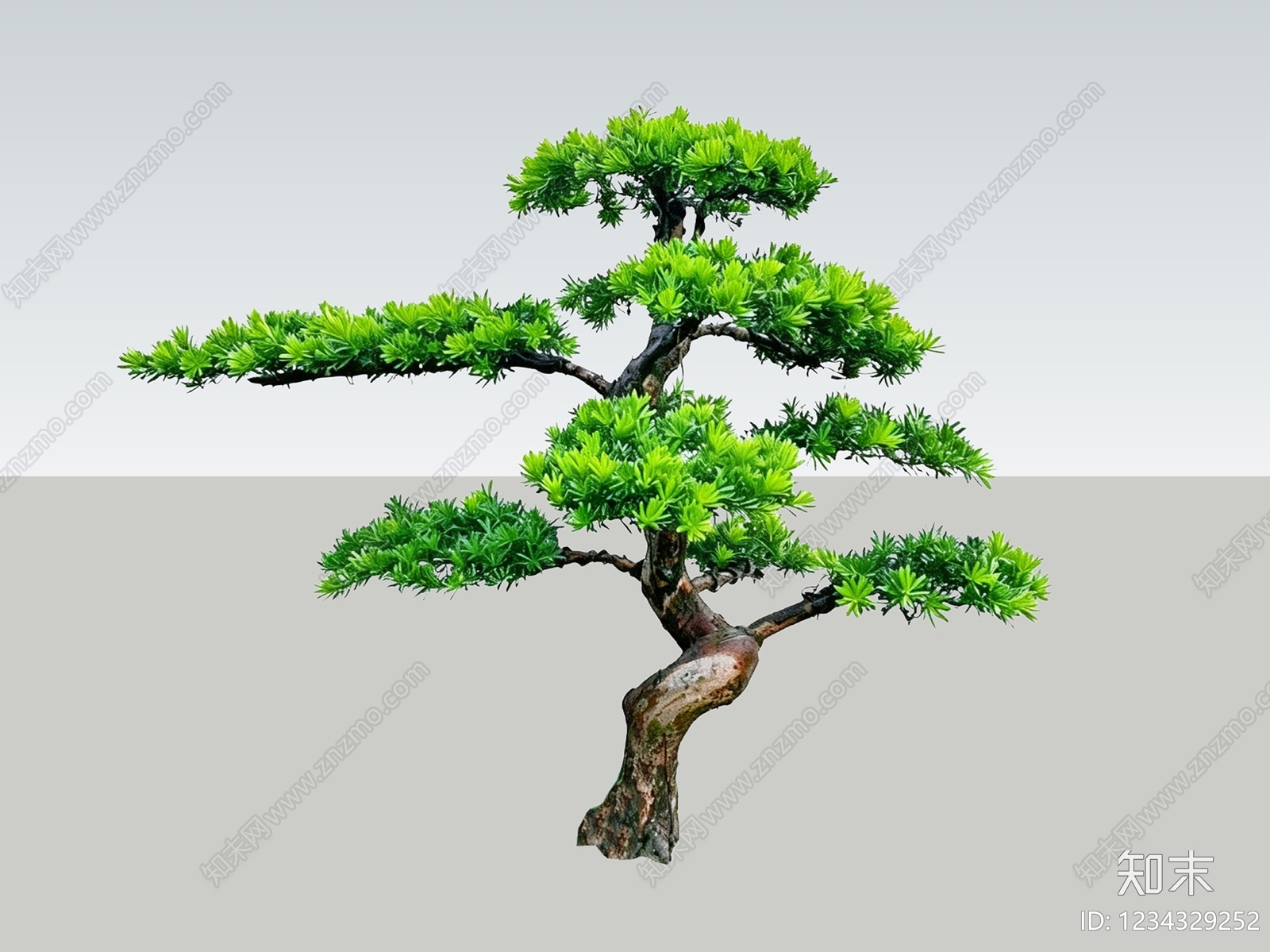 禅意盆栽SU模型草图