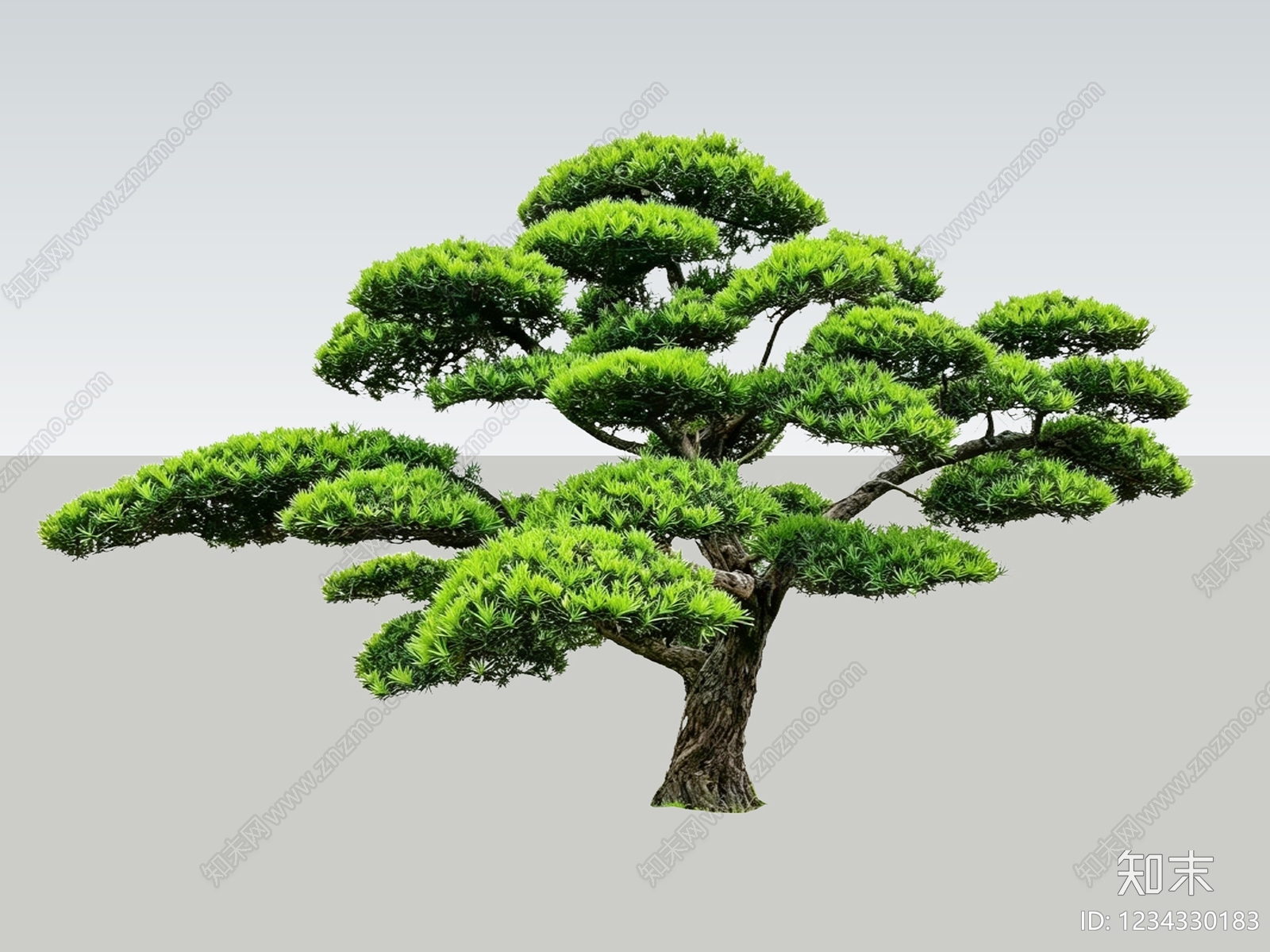禅意乔木SU模型下载【ID:1234330183】