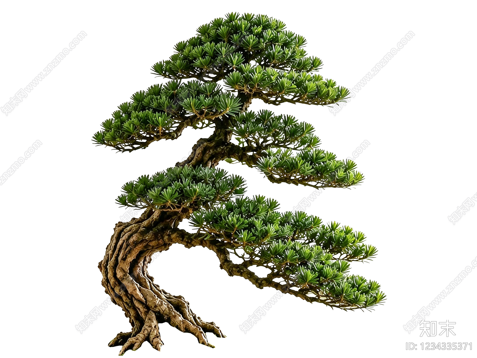 禅意盆栽SU模型草图