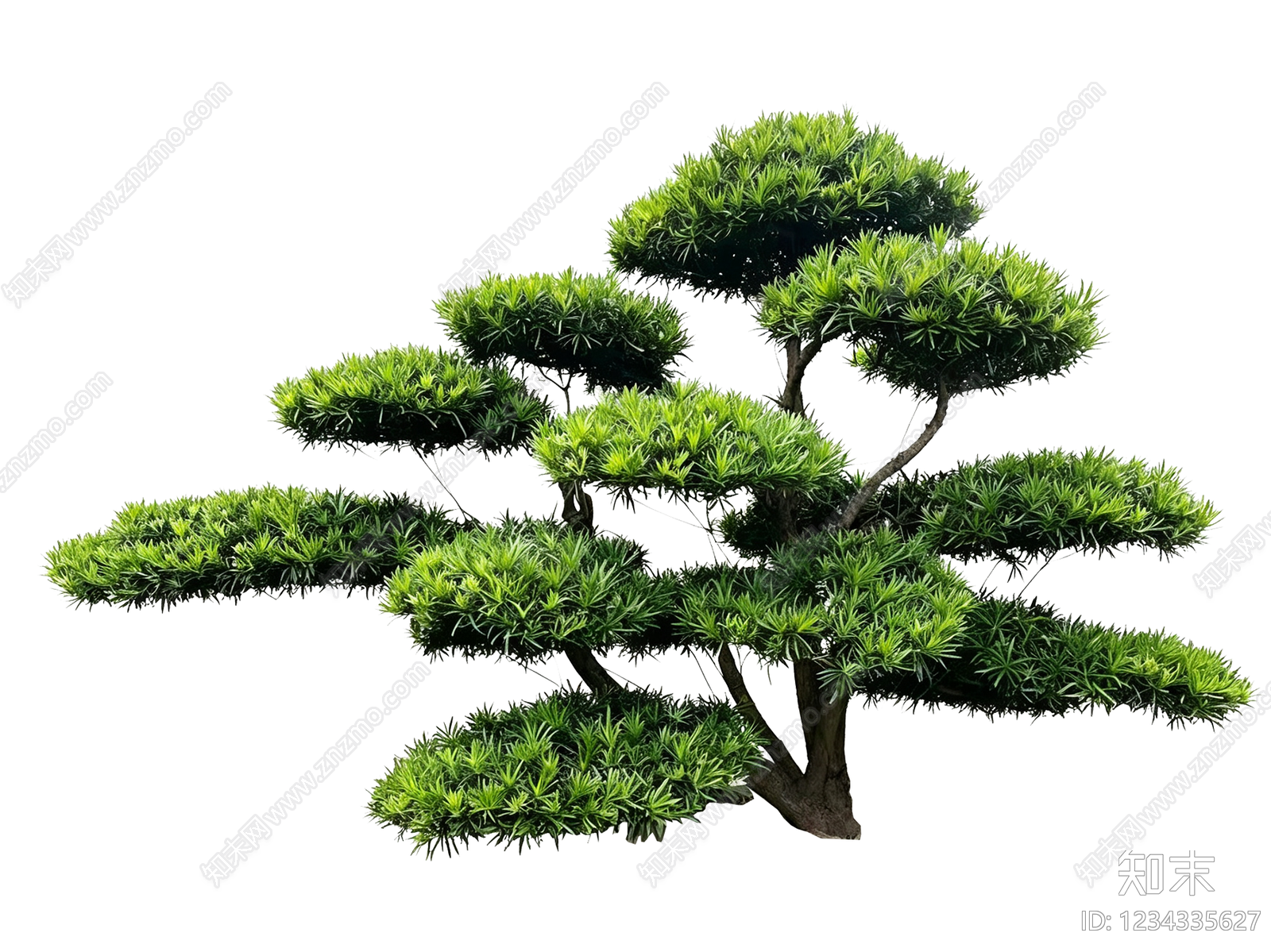 新中式景观乔木SU模型下载【ID:1234335627】