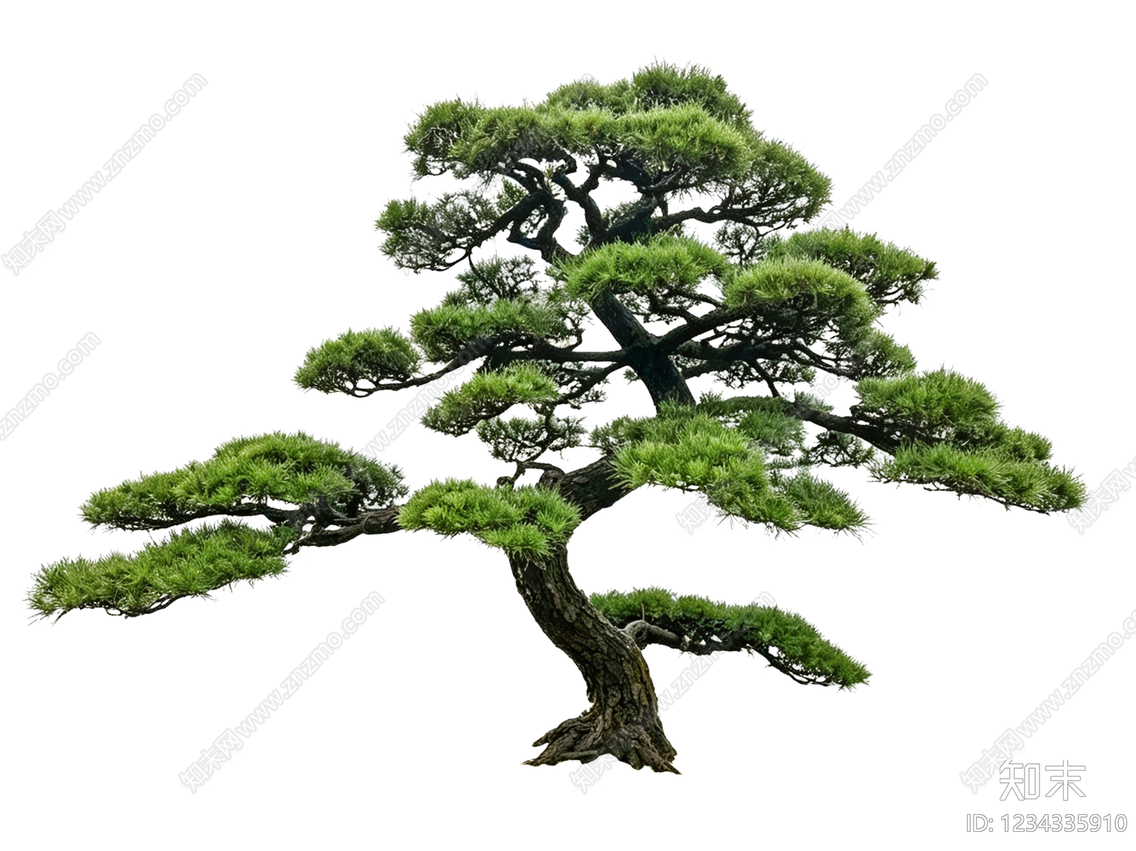禅意盆栽SU模型草图