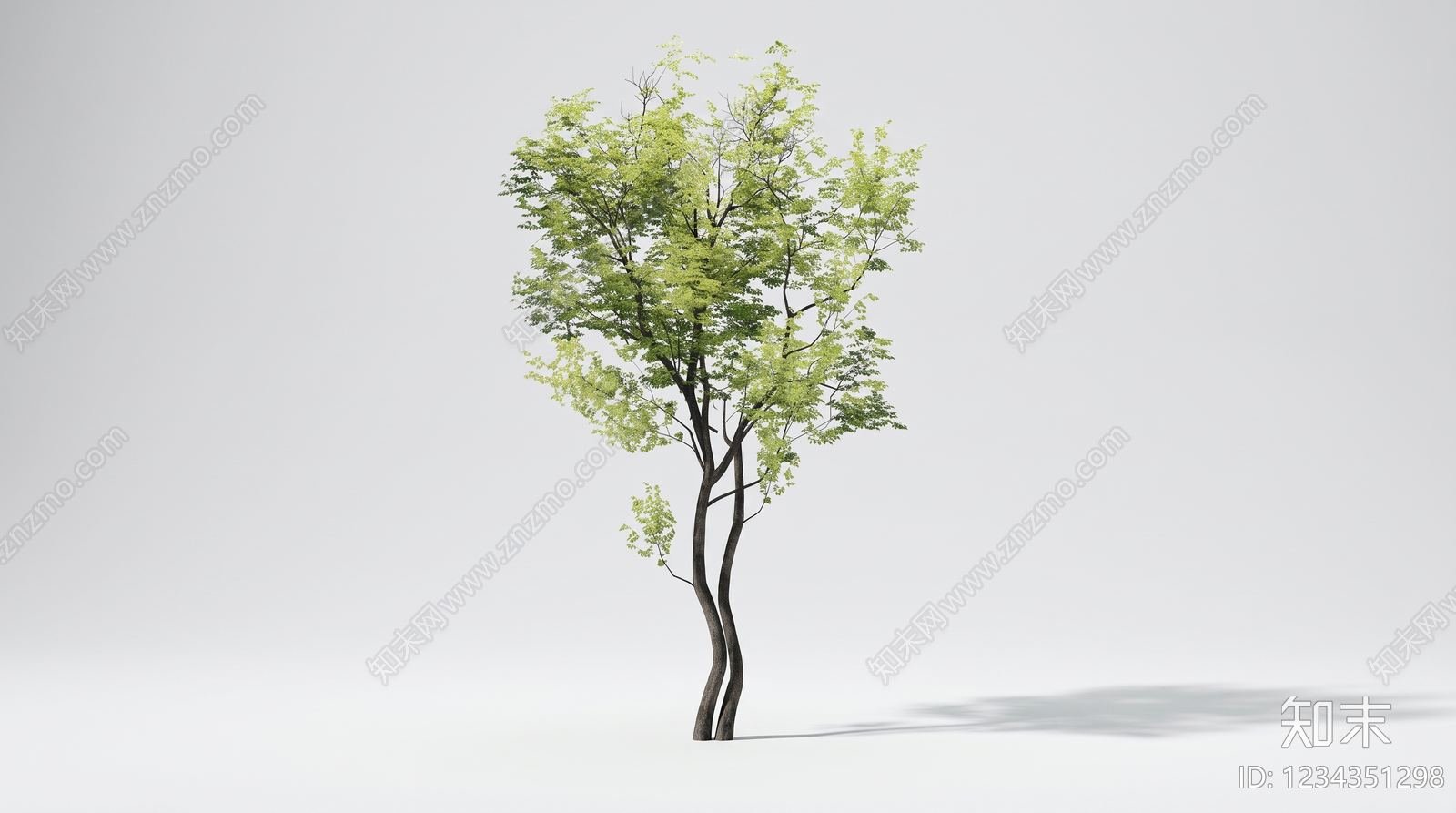 极简乔木SU模型下载【ID:1234351298】