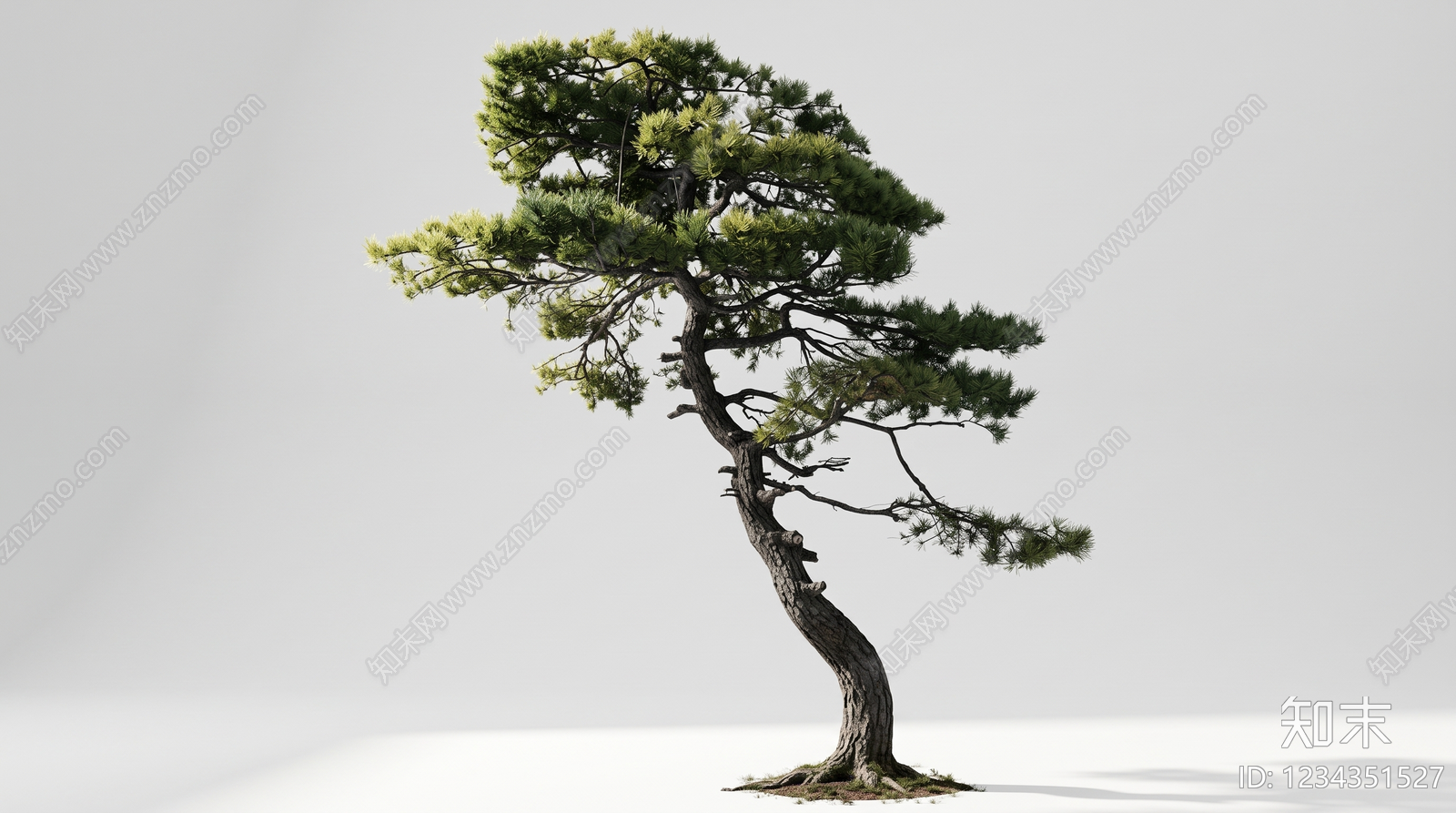 禅意乔木SU模型下载【ID:1234351527】