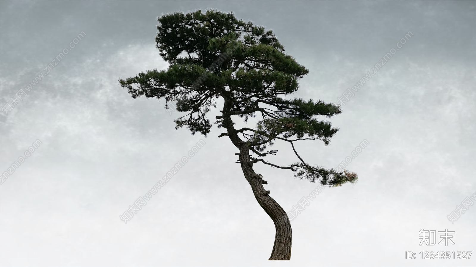 禅意乔木SU模型下载【ID:1234351527】