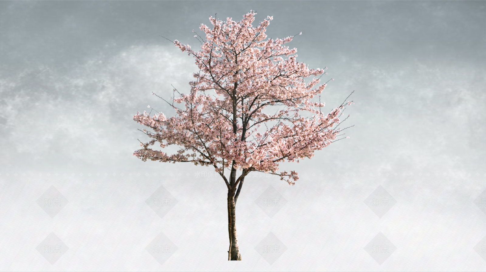 极简乔木SU模型下载【ID:1234353330】