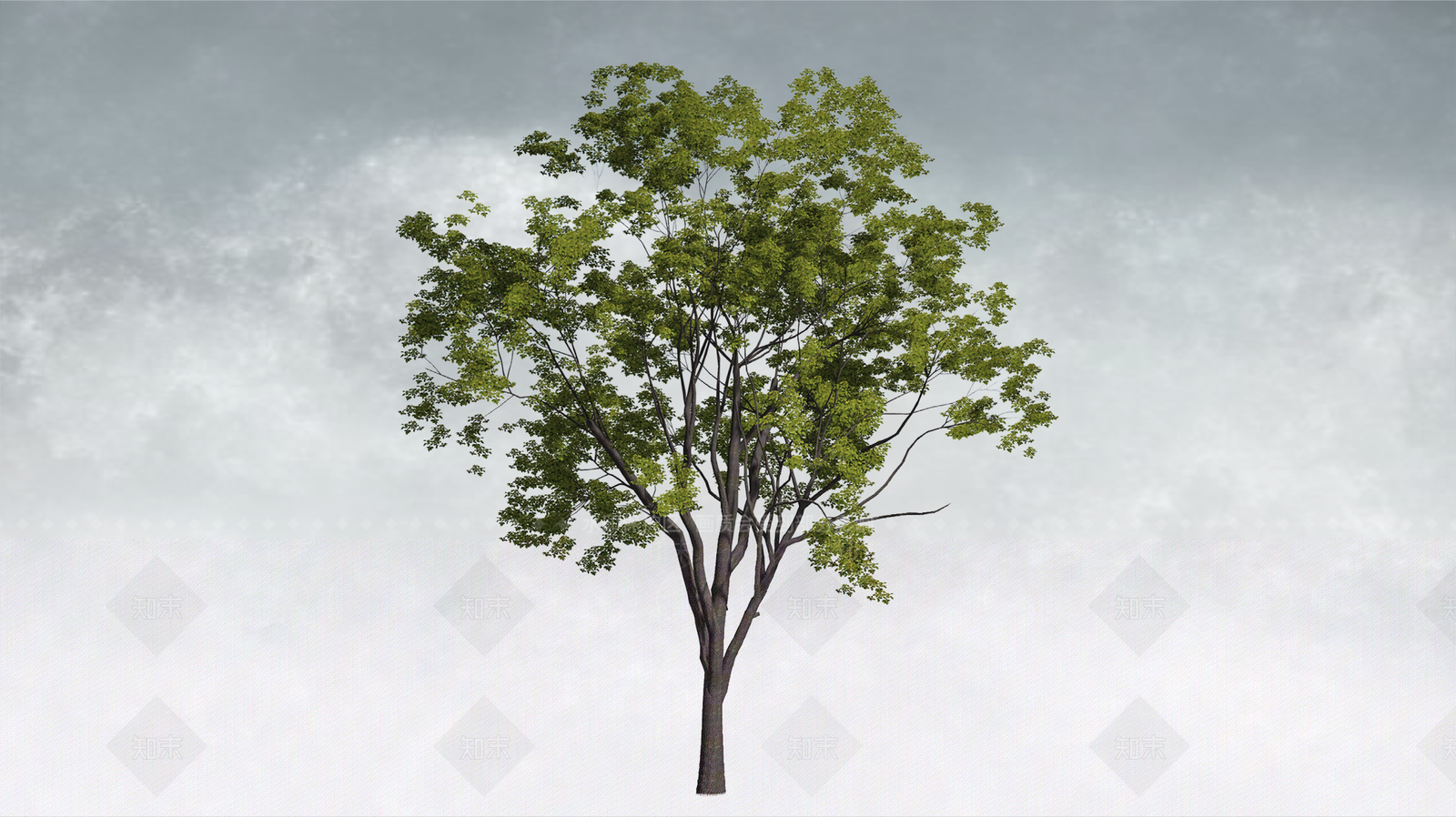 极简乔木SU模型下载【ID:1234380343】