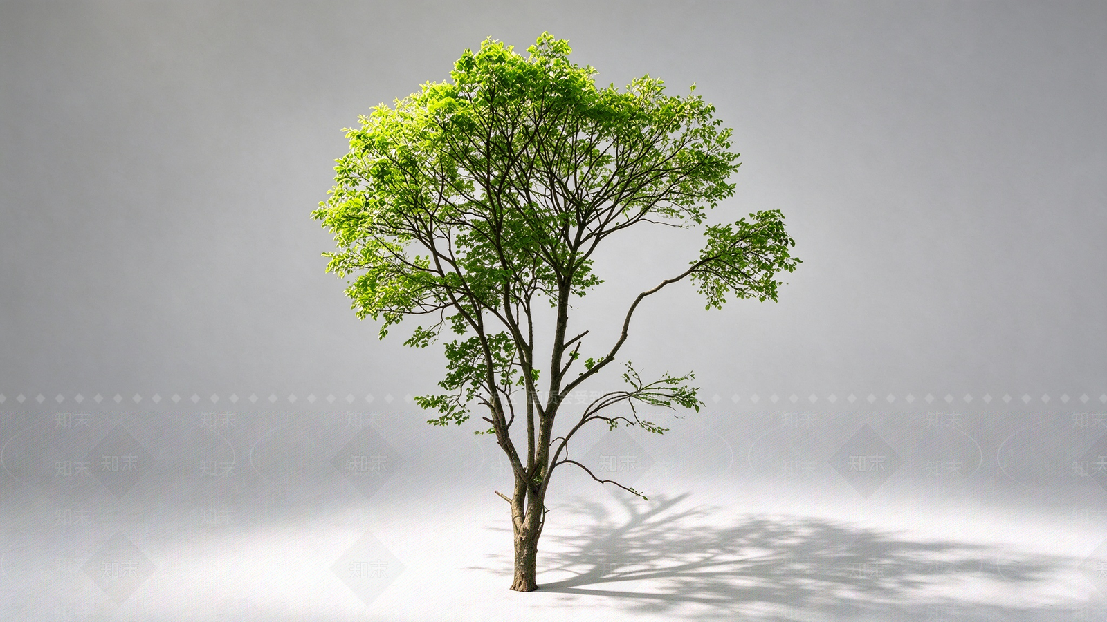 极简乔木SU模型下载【ID:1234381327】