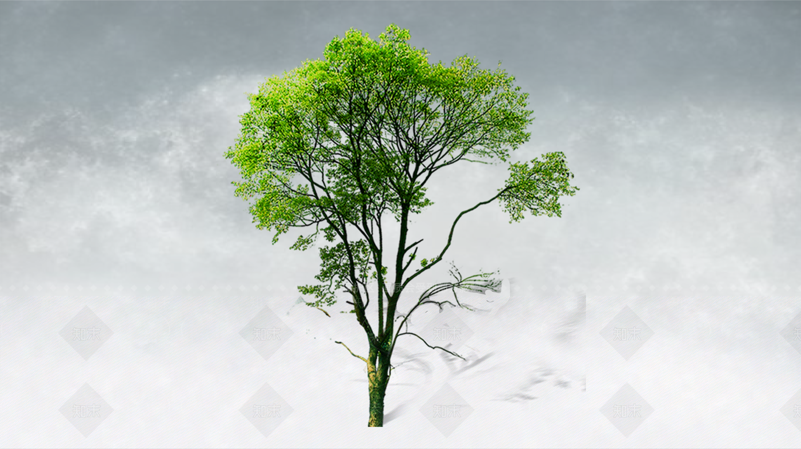 极简乔木SU模型下载【ID:1234381327】
