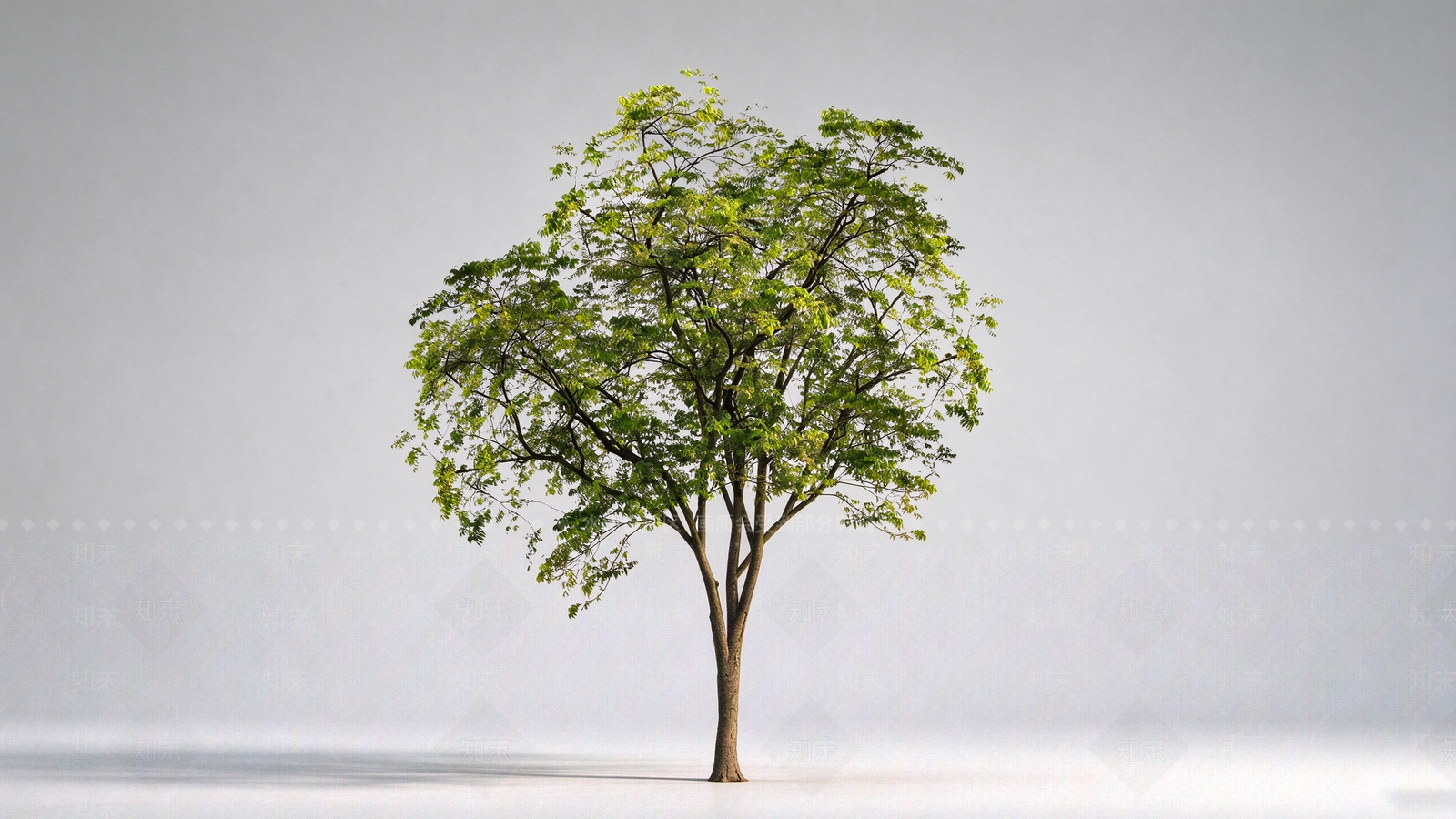 极简乔木SU模型下载【ID:1234381690】