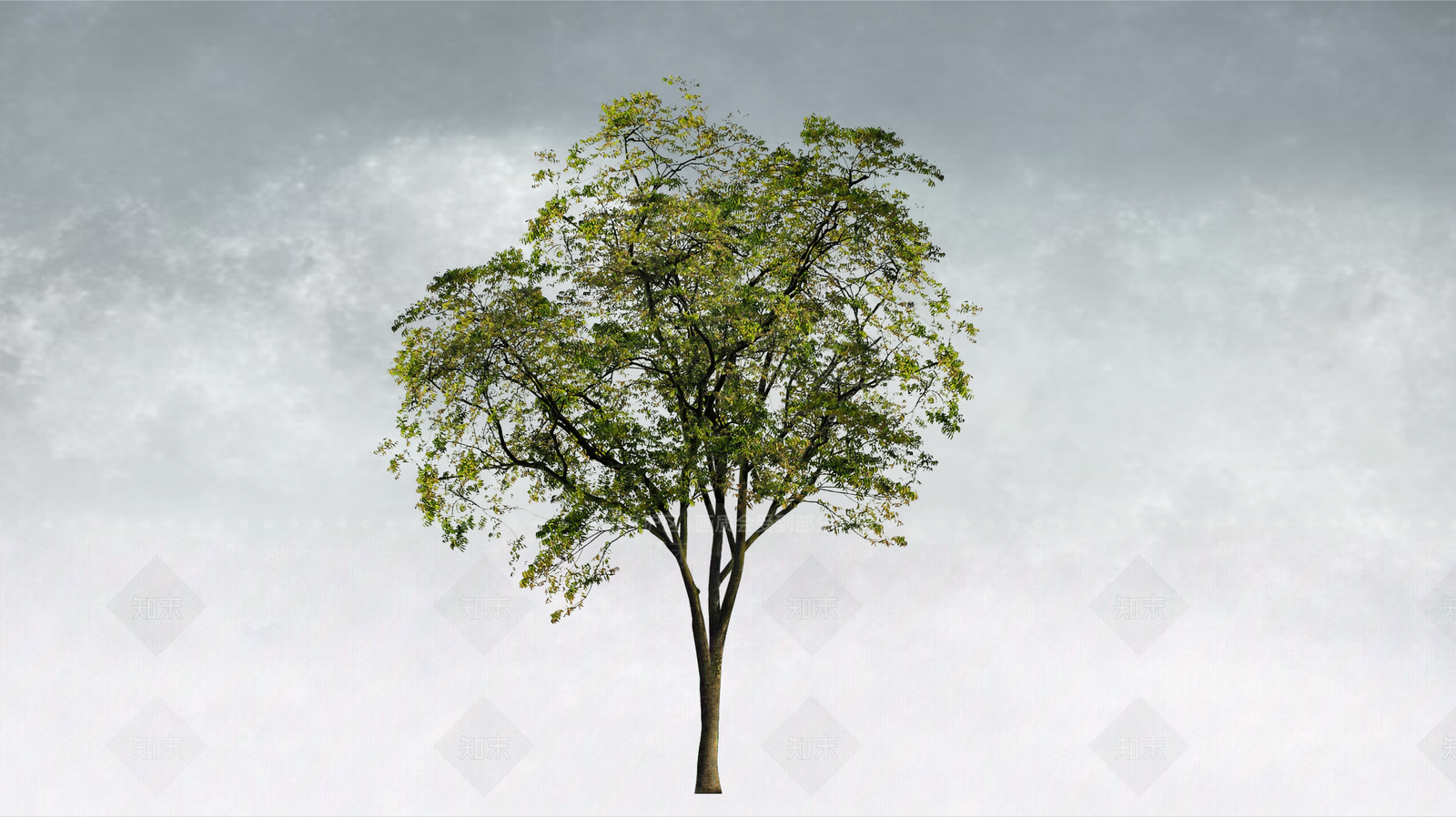 极简乔木SU模型下载【ID:1234381690】